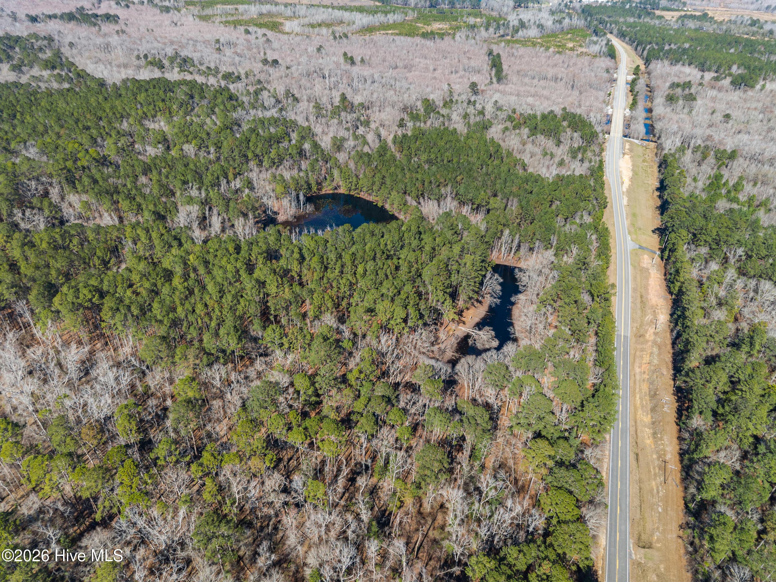 Undeveloped at 22701 Highway 129, Cobbtown, GA 30420, photo 3 of 10