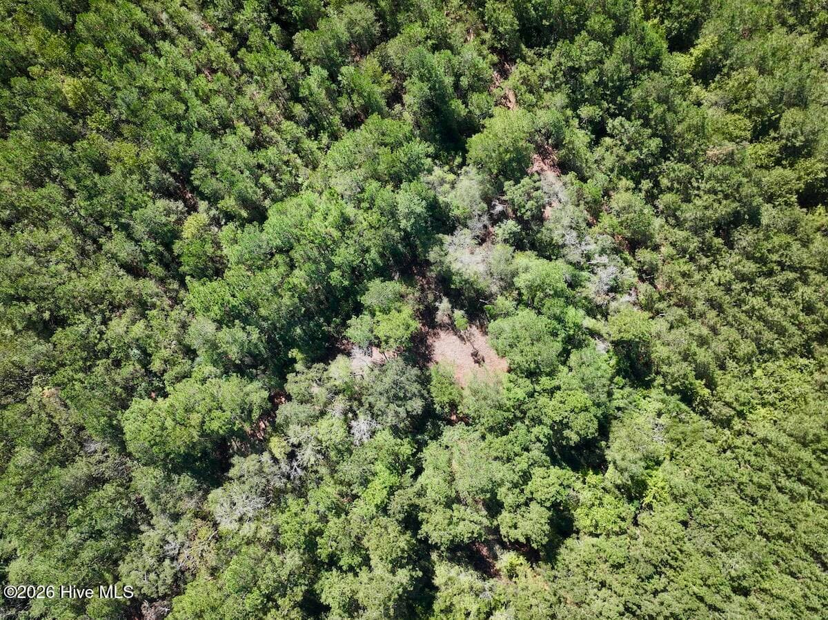 Recreation at 00 Hwy 258 S, Deep Run, NC 28525, Deep Run, photo 8 of 39
