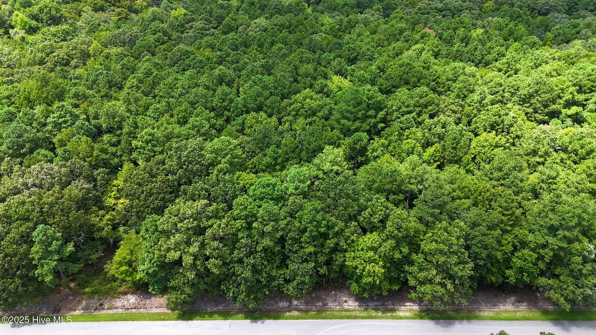 Tbd 3 Boat Ramp Road, New Hope, NC 27944