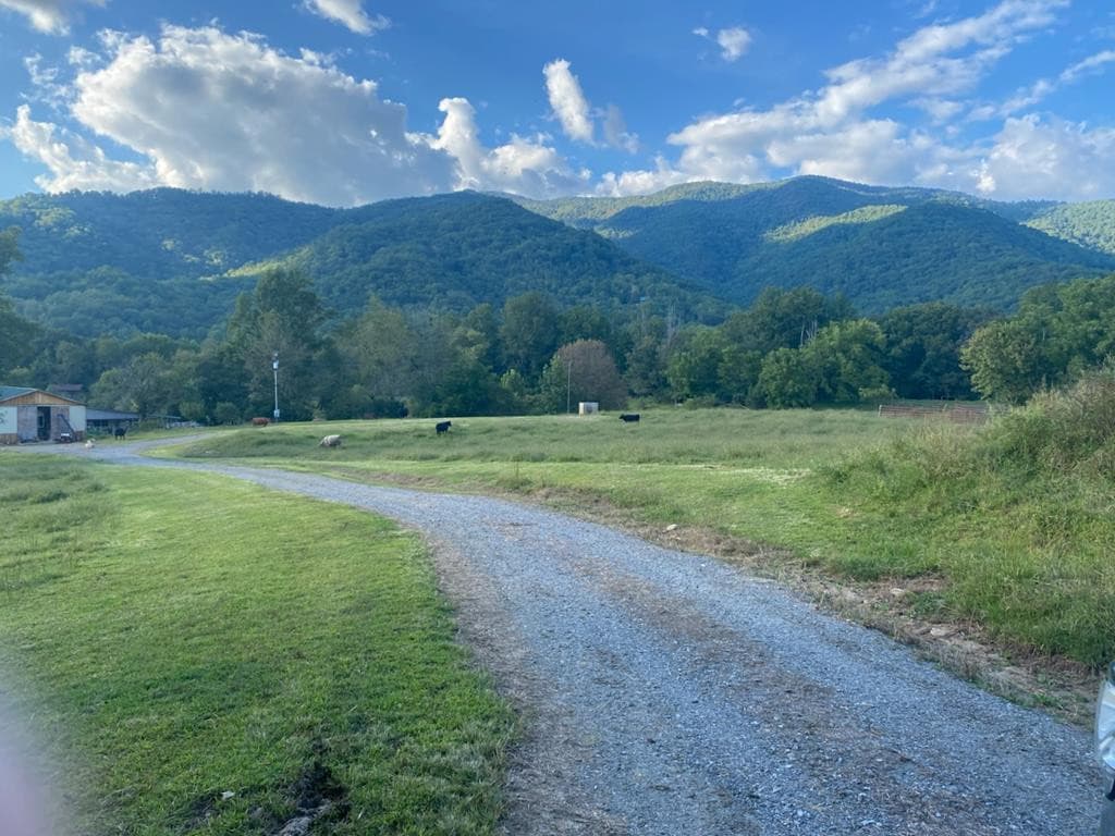 Undeveloped at 10617 Highway 64 E, Hayesville, NC 28904
