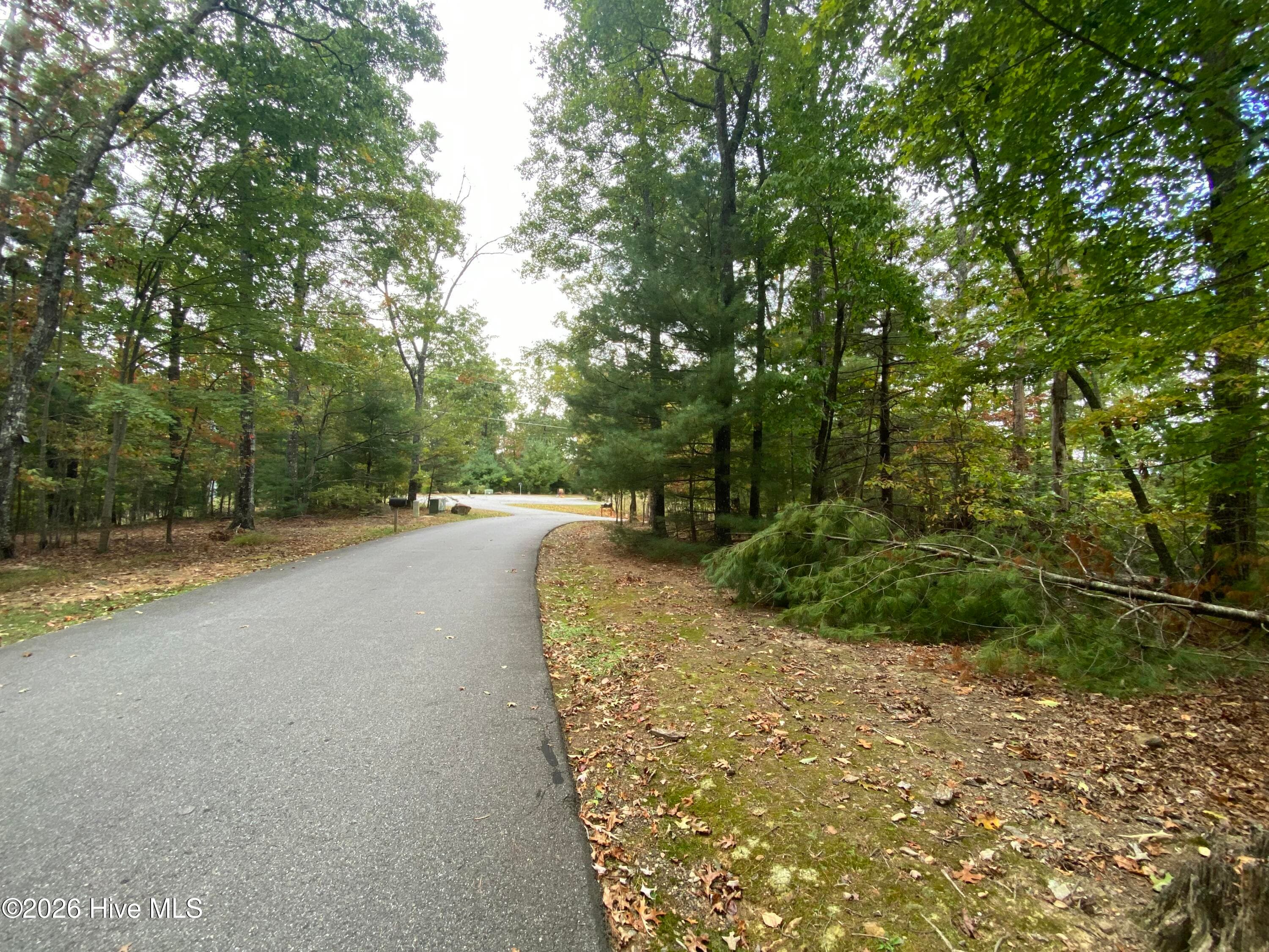 Wooded at 14 14 Mission Ridge, Hayesville, NC 28904, Hayesville, photo 4 of 14