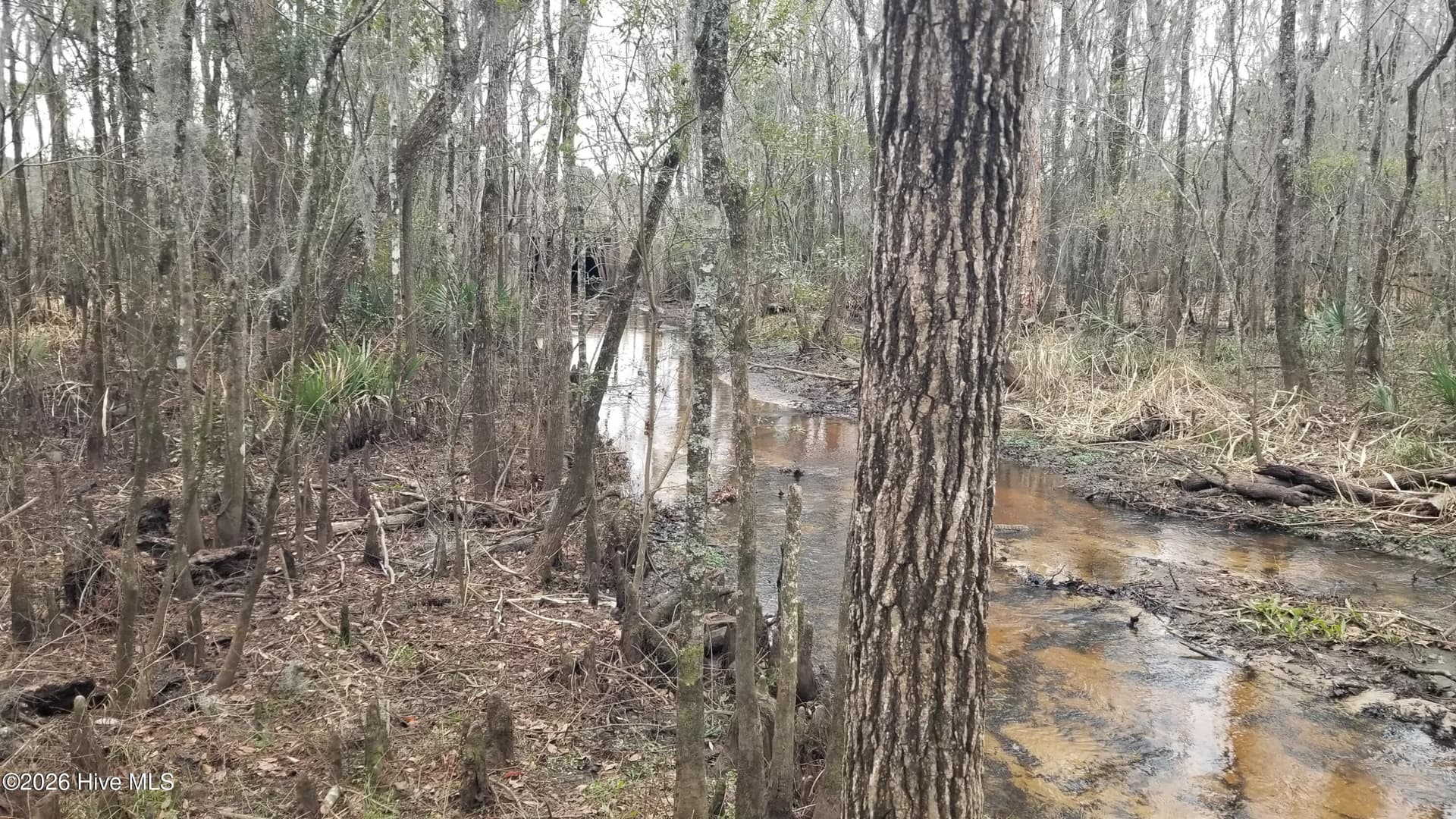 Undeveloped at 3120 Highmarket Street, Georgetown, SC 29440, photo 3 of 7