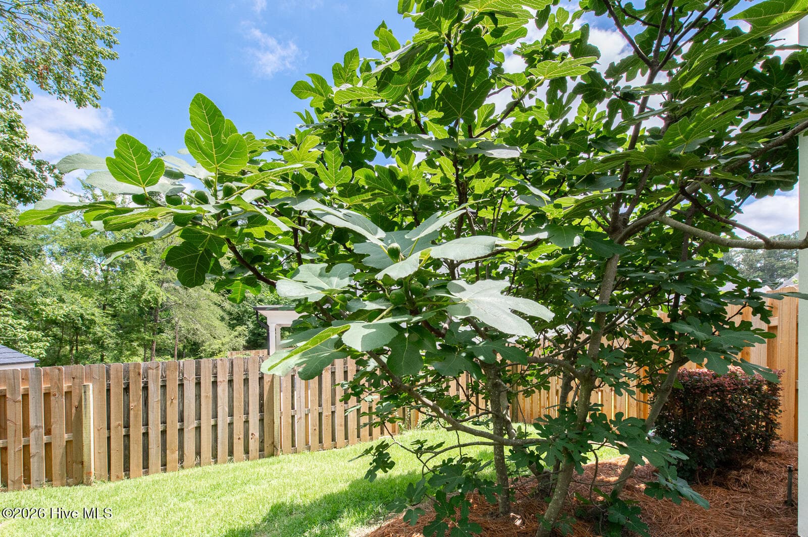 Single Family Residence at 2609 Sherborne Court, Augusta, GA 30909, photo 31 of 34
