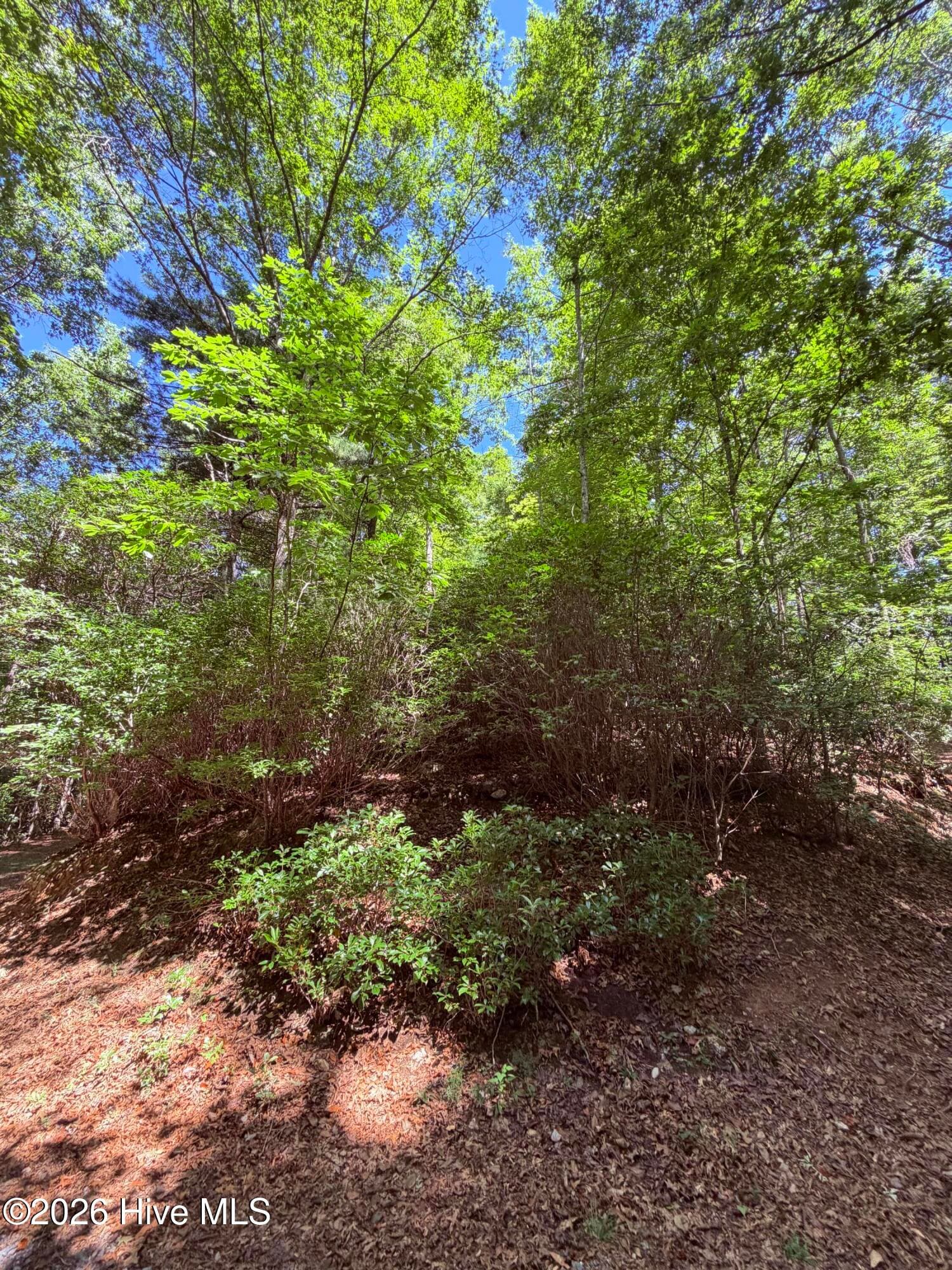Wooded at Lot 12 Holly Ridge Drive, Topton, NC 28781, photo 5 of 5