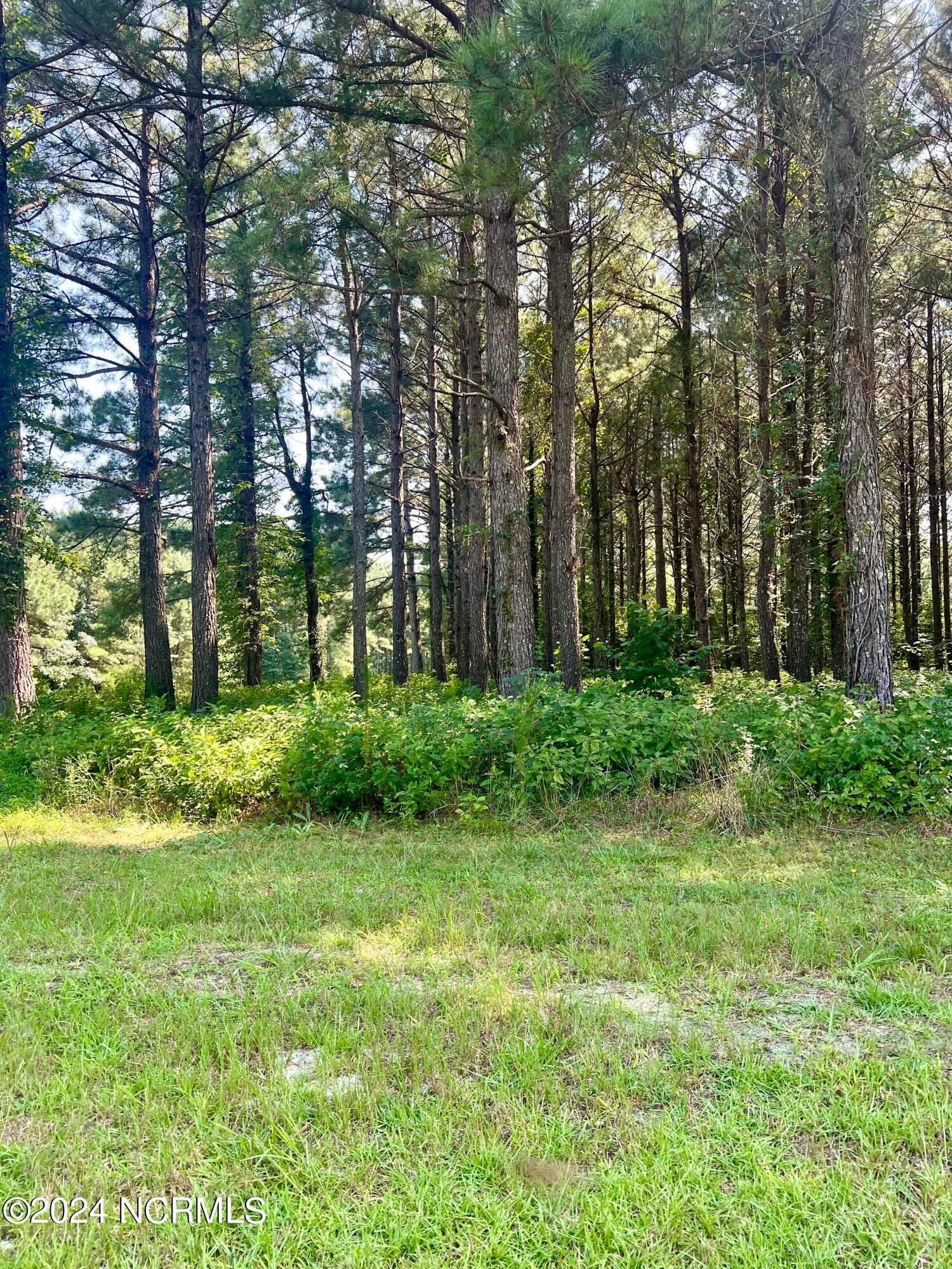 Residential Lot at 237 134 Winfall Circle, Edenton, NC 27932, photo 8 of 14