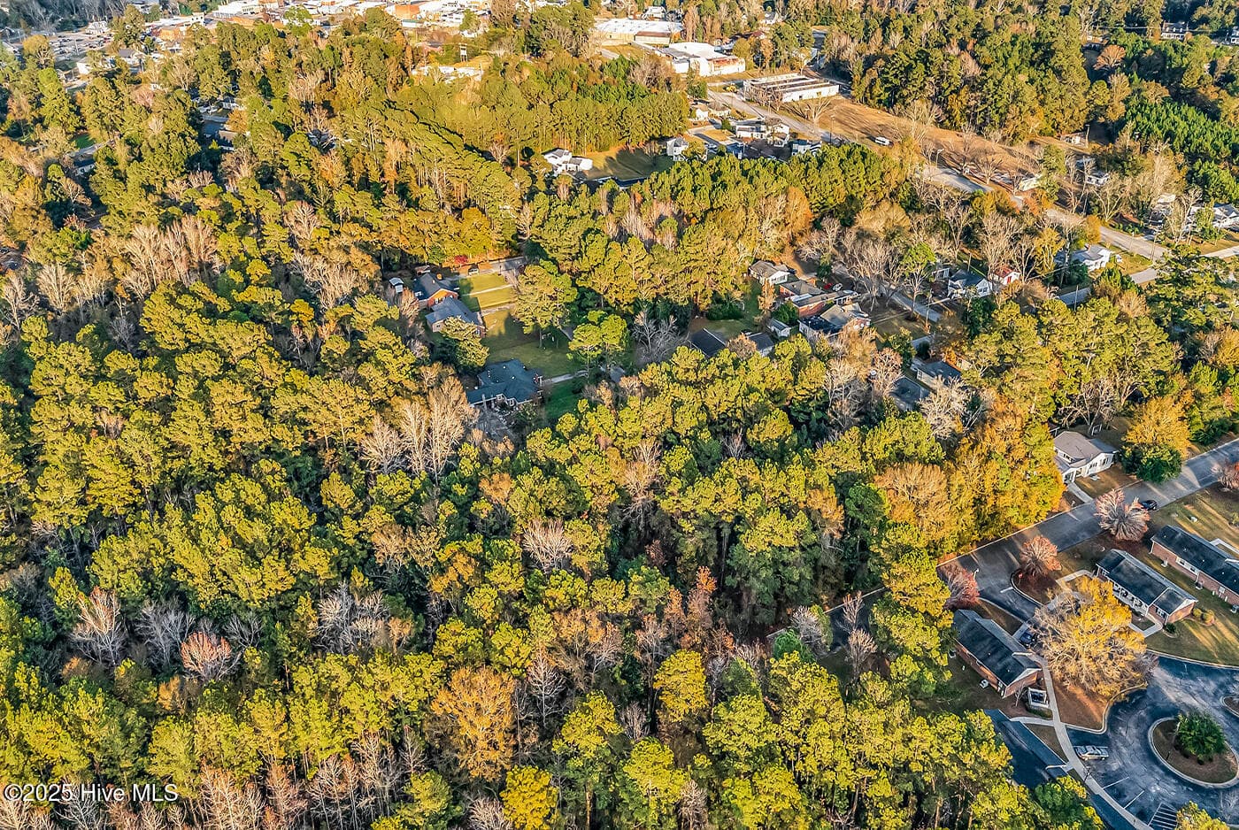 Residential Lot at 0 Woodrow Street, Tabor City, NC 28463, photo 10 of 11