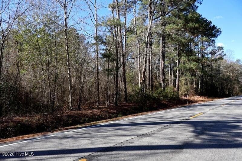Wooded at Tbd 1 Nc Hwy 130 Road, Fairmont, NC 28340, photo 3 of 6