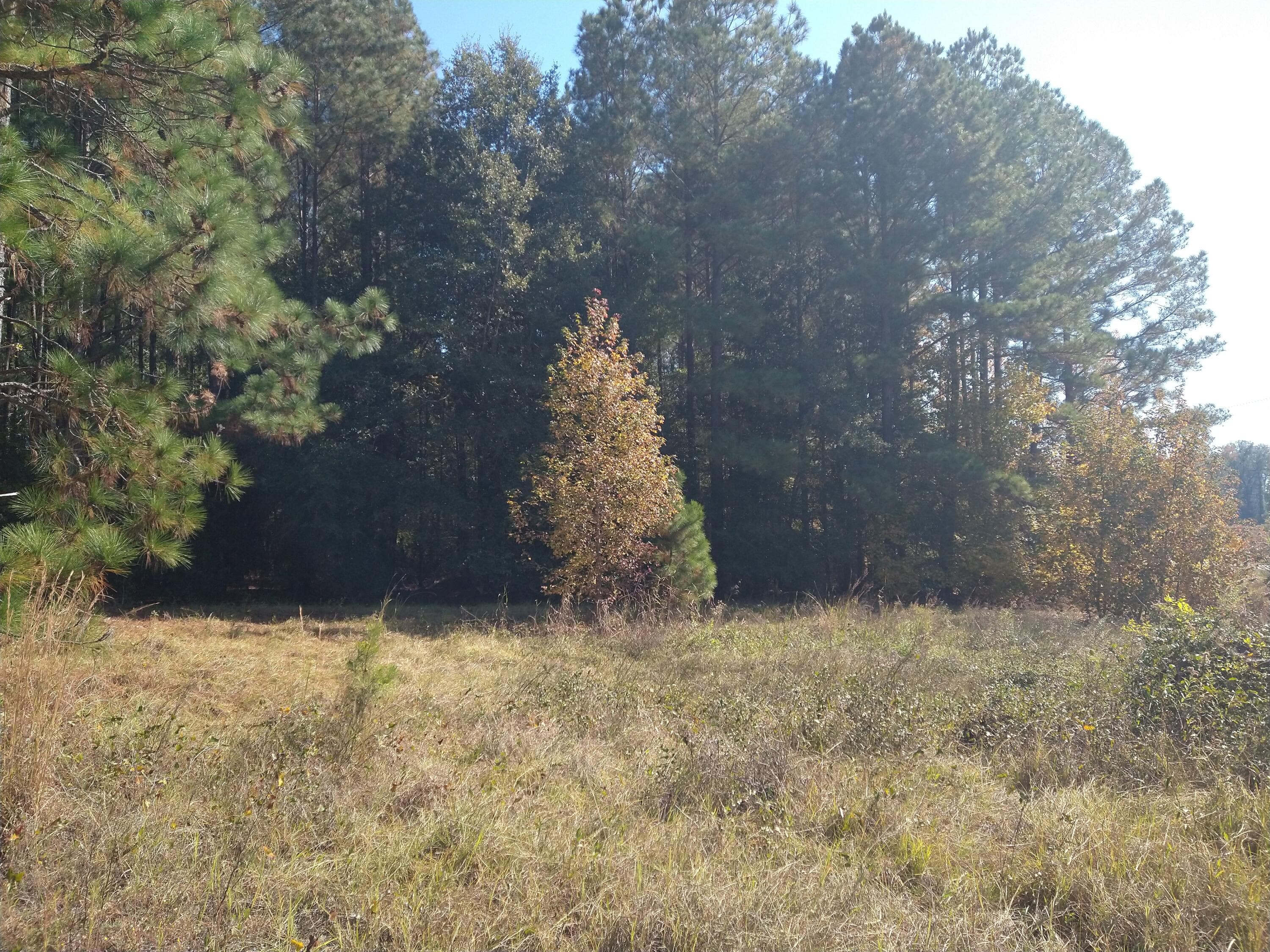 Unimproved Land at 0 Gresham Road, Keysville, GA 30816, photo 3 of 6