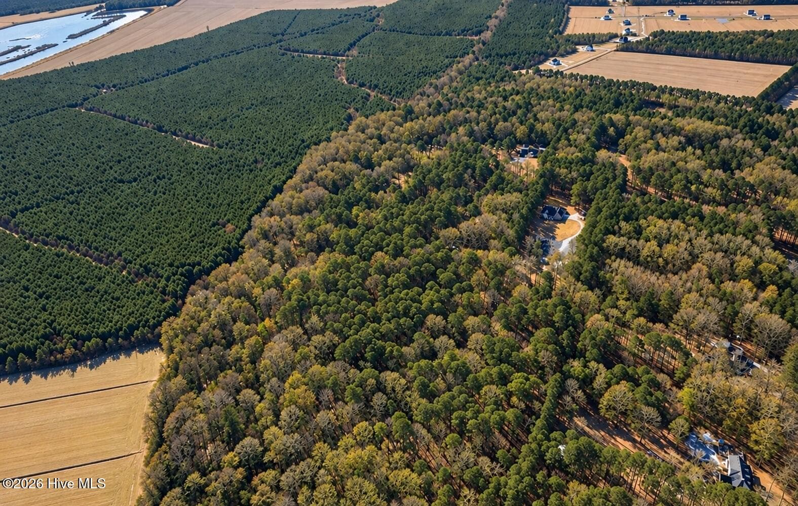 Undeveloped at 0.35 Ac Johnson Lane, Moyock, NC 27958, photo 6 of 10