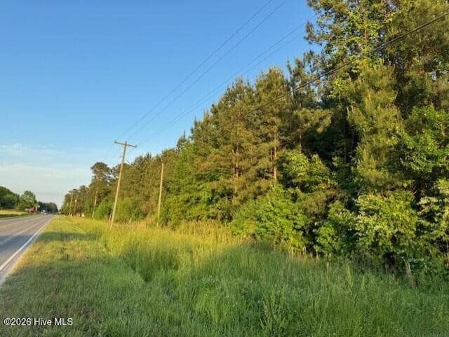 Unimproved Land at 53 Nc Hwy 53, Burgaw, NC 28425, photo 9 of 11