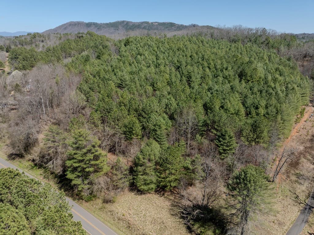 Residential Lot at 8.3 Acres Old Murphy Road, Murphy, NC 28906, photo 4 of 12