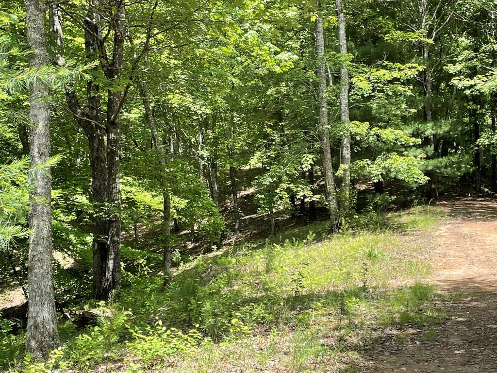 Wooded at 21 # 21 Collett Woods Trail, Andrews, NC 28901, photo 2 of 2