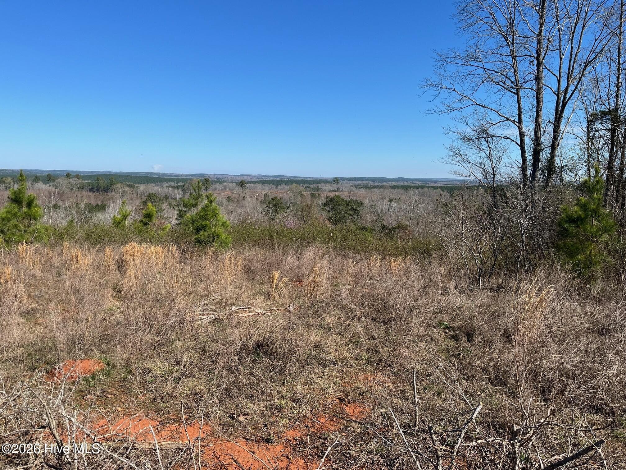 Undeveloped at 355.7 Horseshoe Road, Rockingham, NC 28379, photo 4 of 11