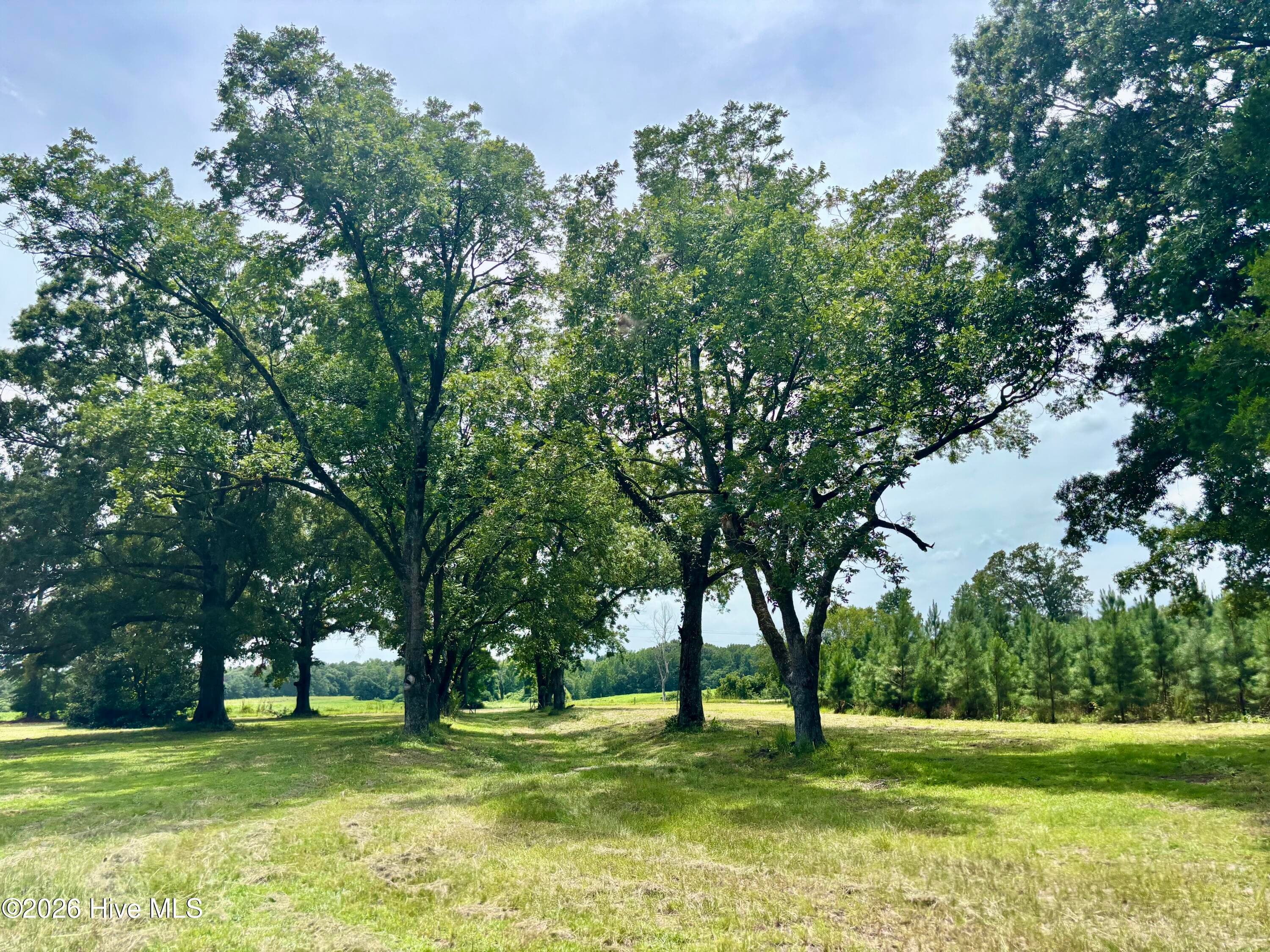 Undeveloped at Tbd Roberdel School Road, Rockingham, NC 28379, photo 29 of 41