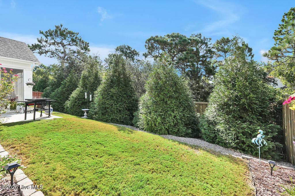 This irrigated, beautifully landscaped sloping backyard is easy to maintain. - 142 Rice Marsh Way, Wilmington, NC 28412