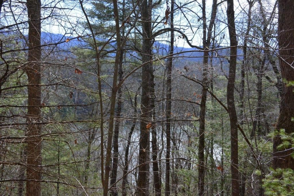 00 Chestnut Ridge, Robbinsville, NC 28771
