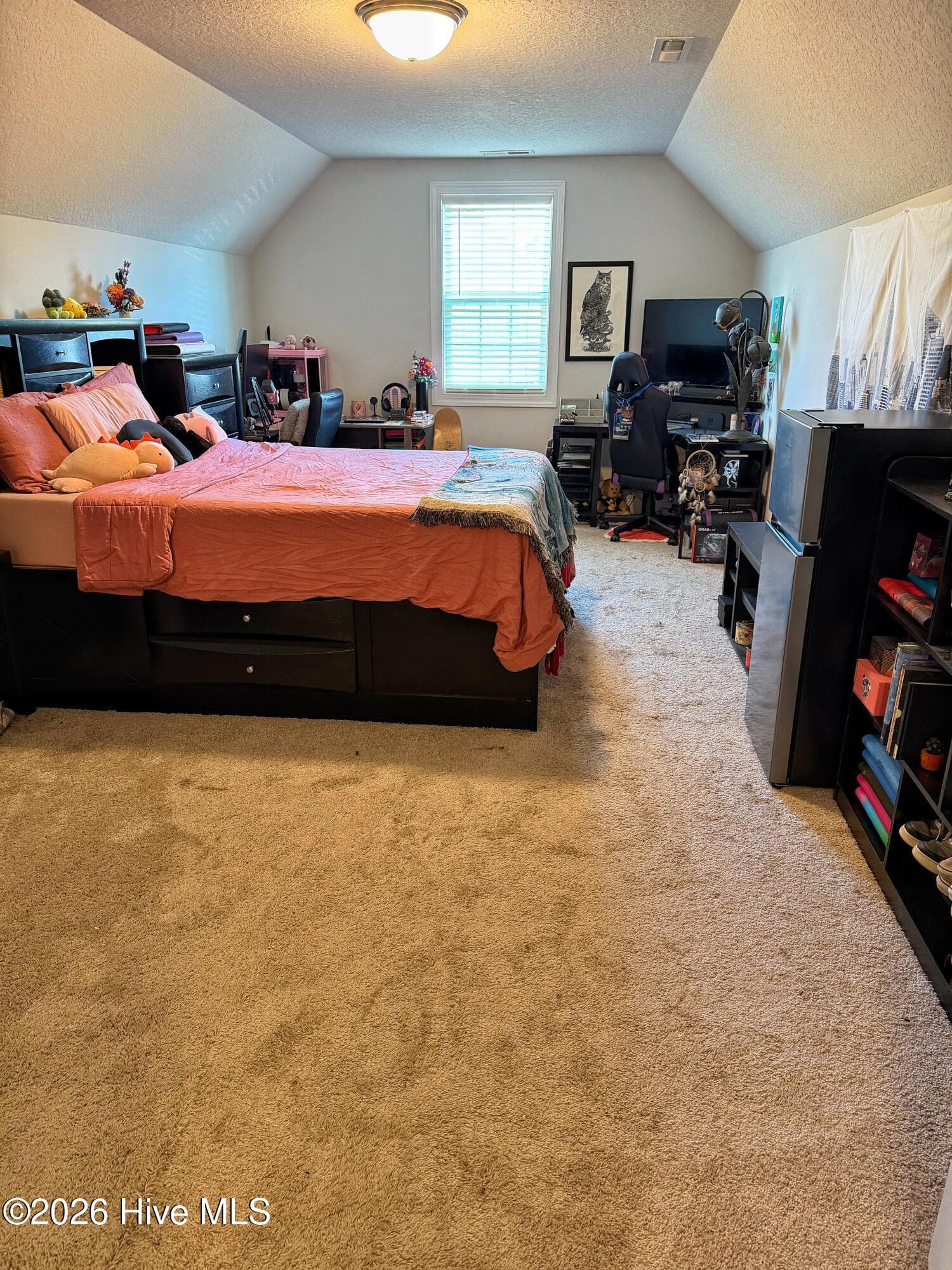 Single Family Residence at 337 Naval Store Drive, Jacksonville, NC 28546, photo 53 of 57