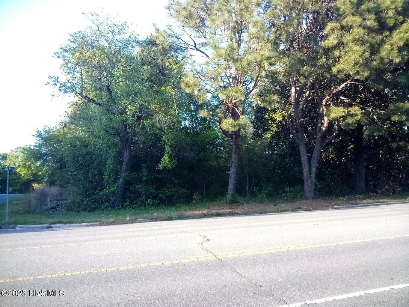 Residential Lot at Tbd Hwy 74 E, Hamlet, NC 28345, photo 3 of 7