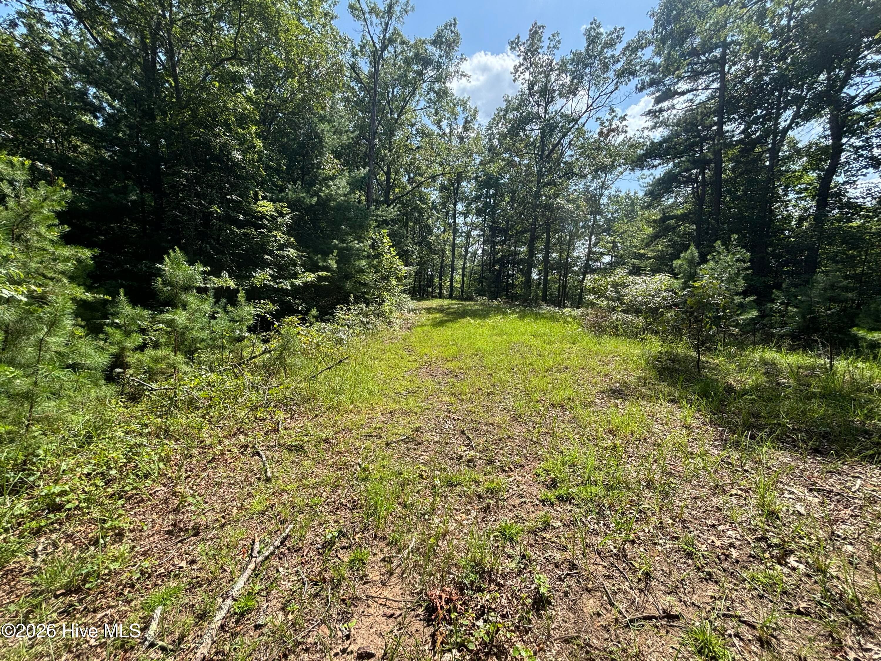 5 5 Majestic Mountain Trail, Murphy, NC 28906