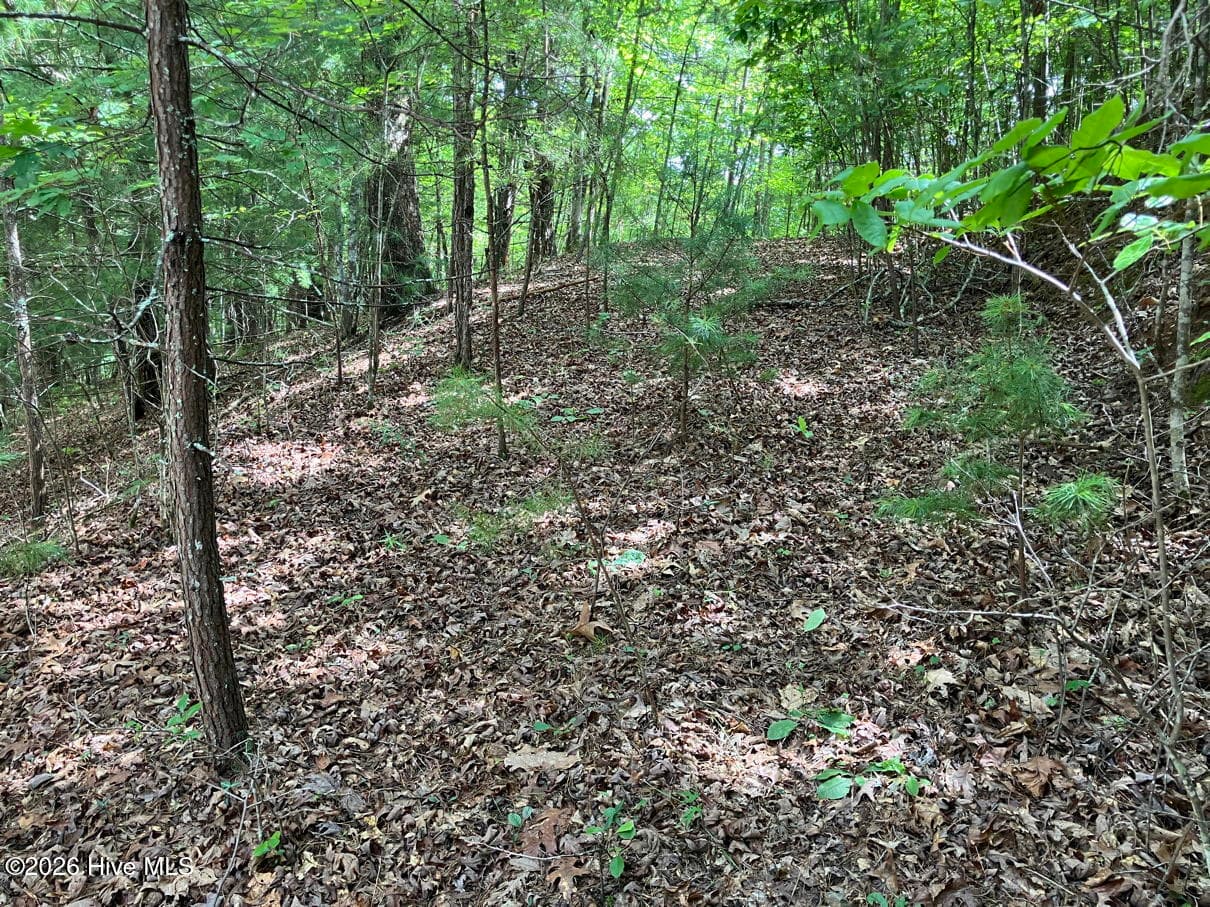 Undeveloped at 11 11 Green Cove Circle, Murphy, NC 28906, photo 5 of 8