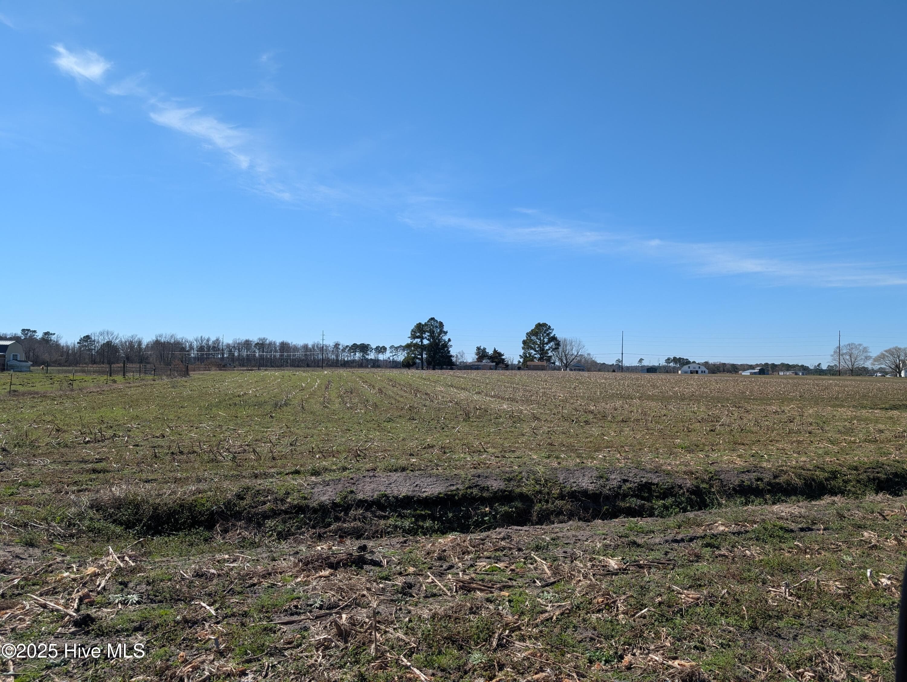 Farm at 000 1 Cedar Fork Road, Beulaville, NC 28518, photo 5 of 7
