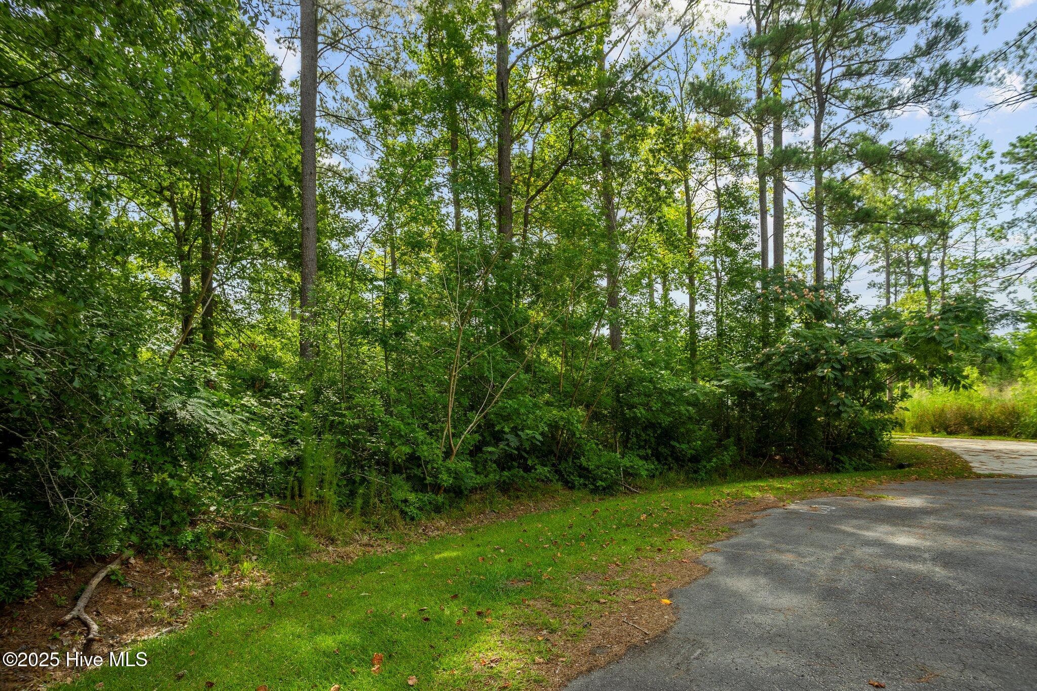 Undeveloped at 178 114 Marsh Run, Oriental, NC 28571, photo 22 of 28