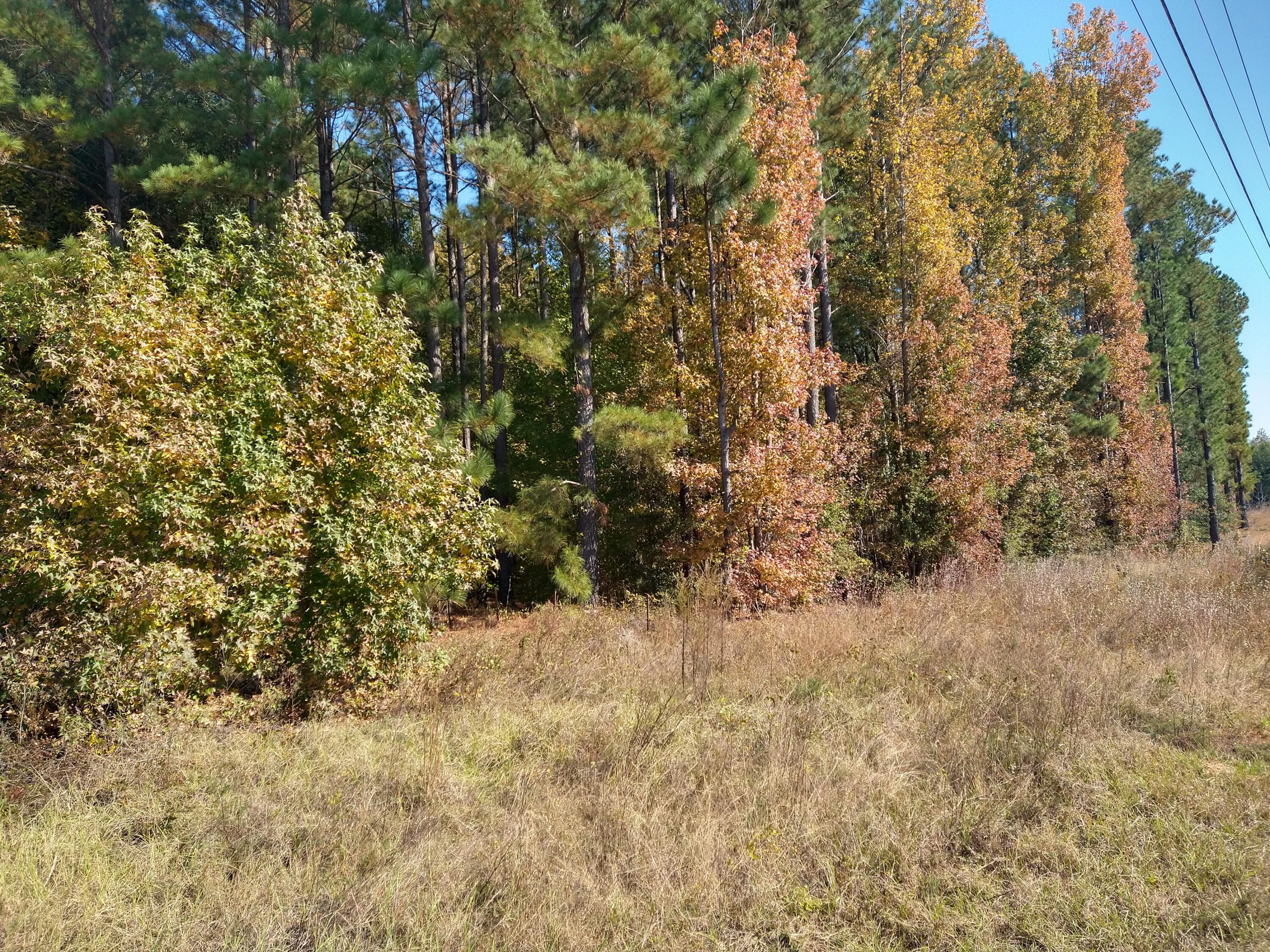 Unimproved Land at 0 Gresham Road, Keysville, GA 30816, photo 5 of 6
