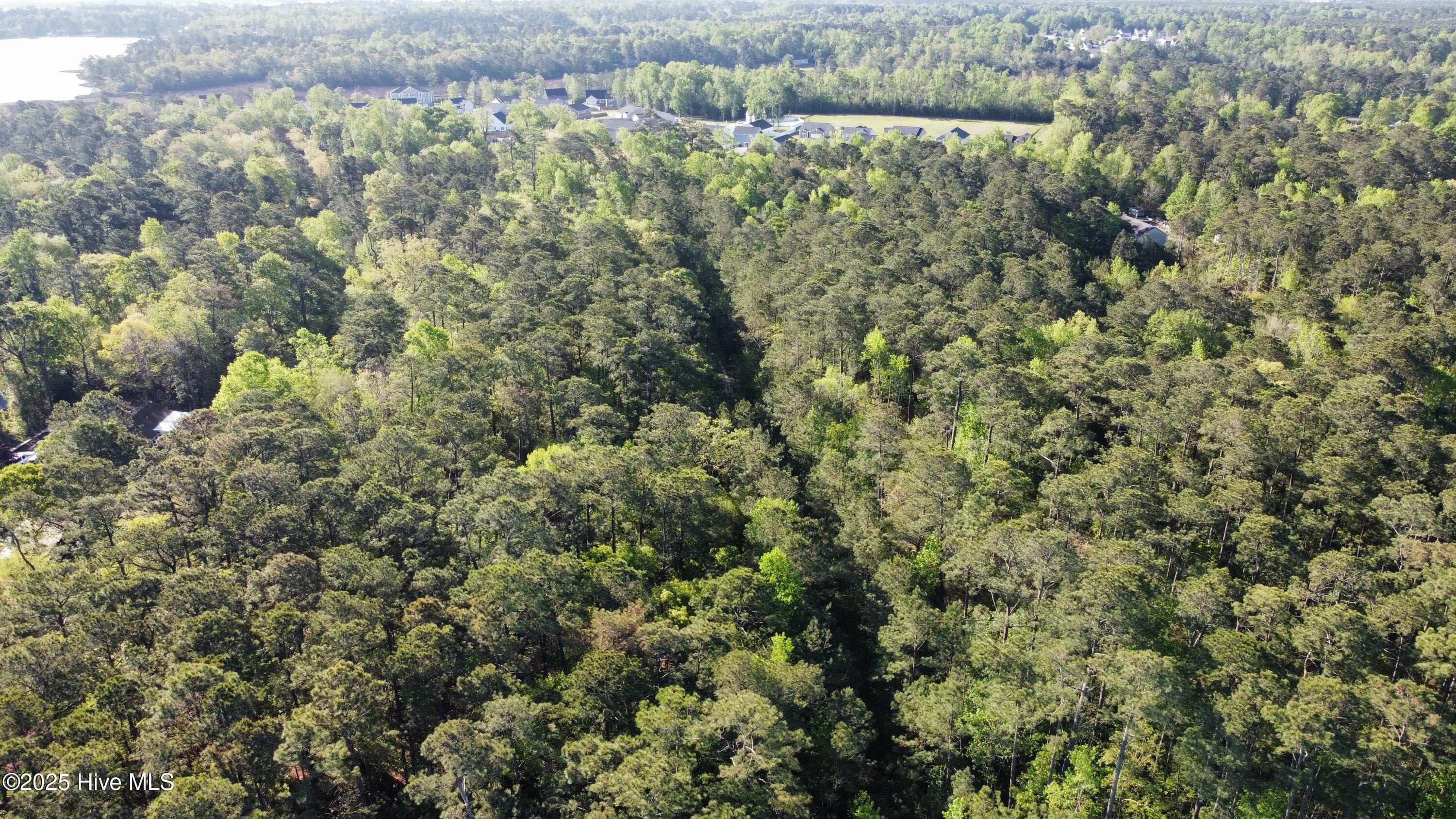 Residential Lot at Tbd Wood Creek Drive, Hubert, NC 28539, photo 3 of 8