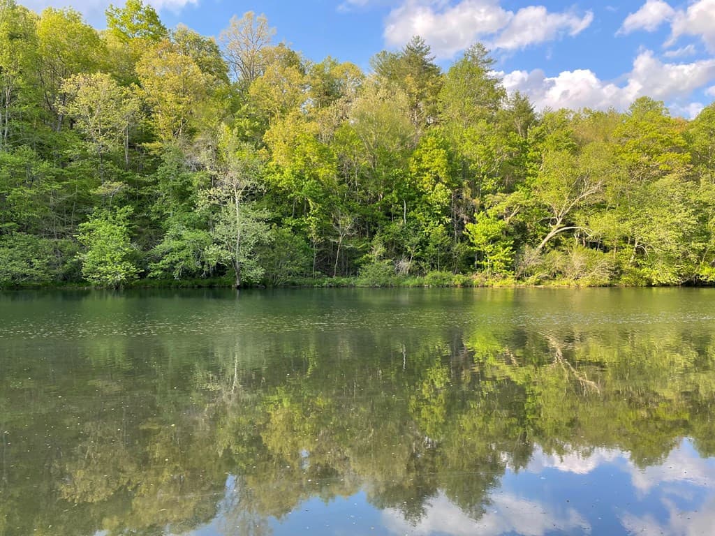 Land at N/A Trillium Heights, Hayesville, NC 28904, photo 9 of 25