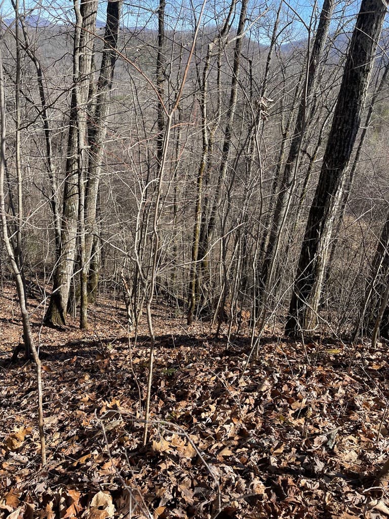 Residential Lot at Lot 68j 68J Grandview Drive, Hayesville, NC 28904, photo 4 of 5
