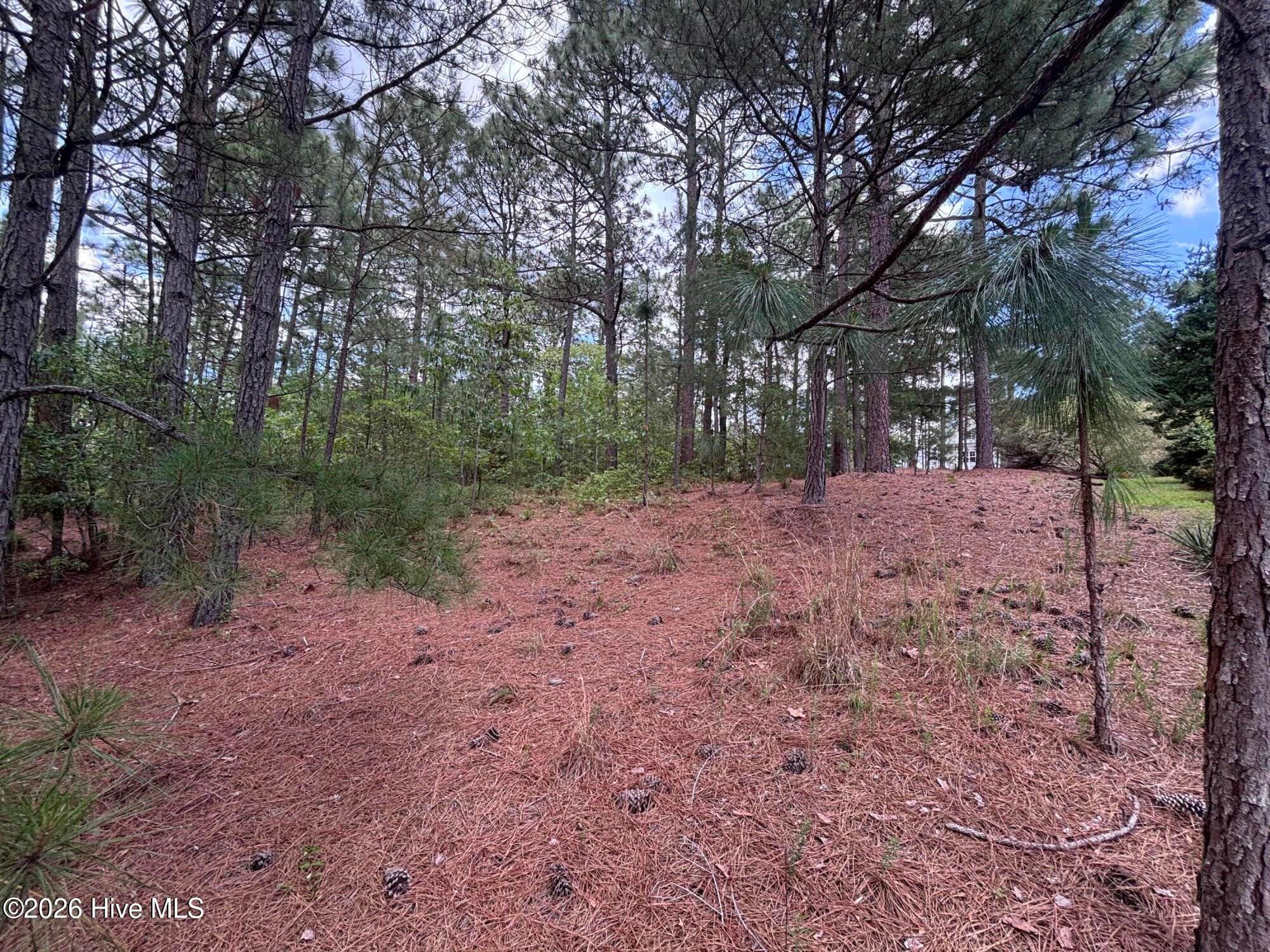 Residential Lot at 111 Callis Circle, West End, NC 27376, photo 13 of 18