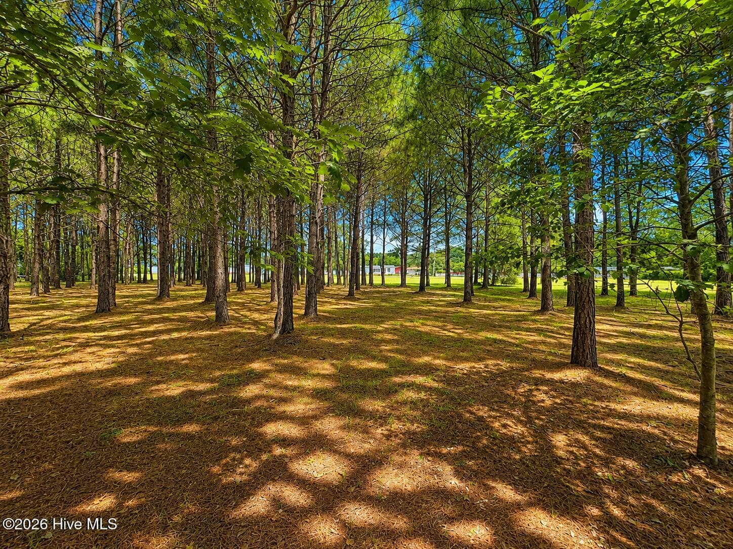 Residential Lot at 28 Bunn Road, Kenly, NC 27542, photo 2 of 11