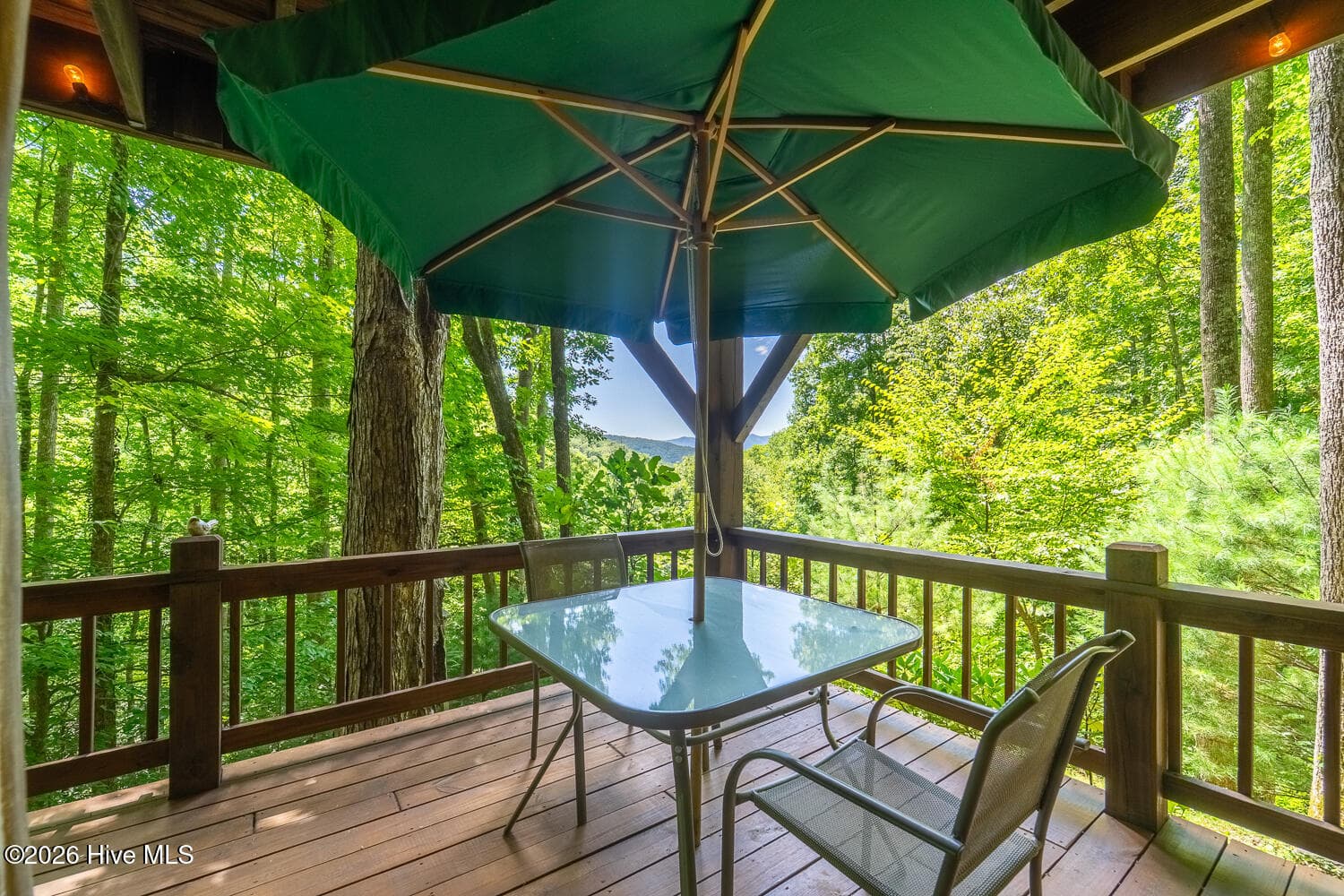 Single Family Residence at 204 Mountain Laurel Drive, Bryson City, NC 28713, Bryson City, photo 25 of 73