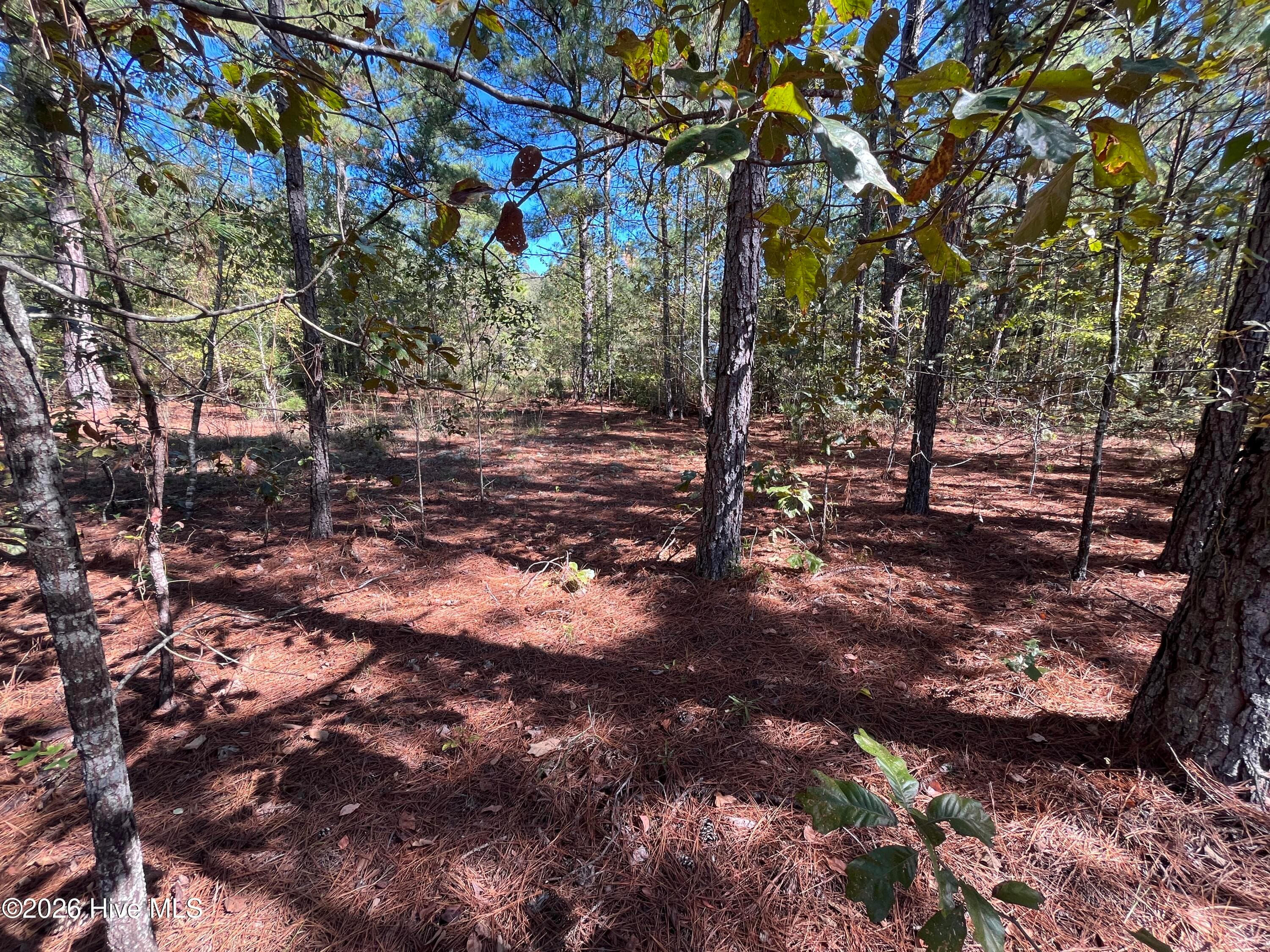 Residential Lot at Lot 9 Jasper Davis Road, Avera, GA 30803, photo 12 of 21