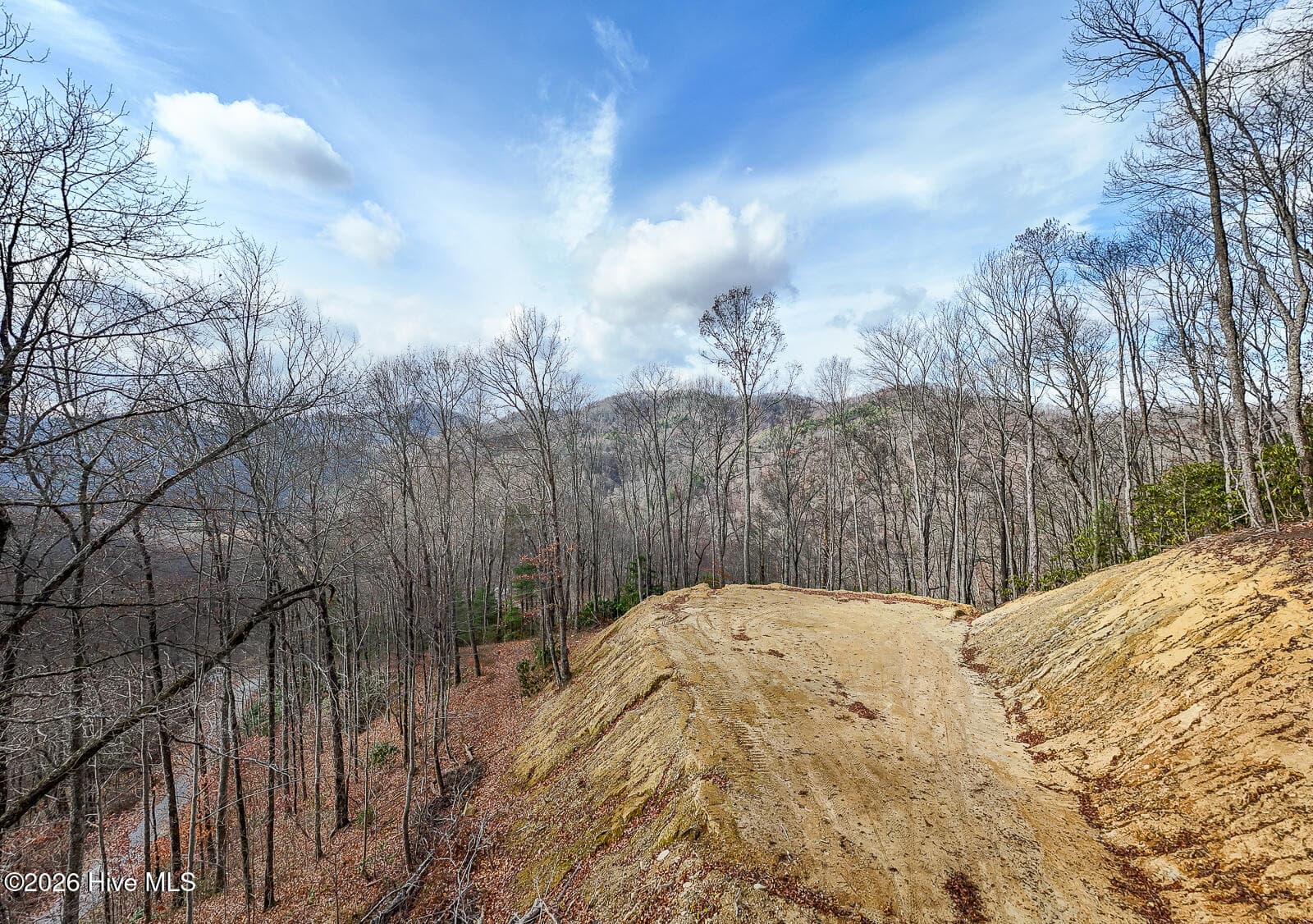 Undeveloped at Lot 20 Walnut Cove Branch, Robbinsville, NC 28771, photo 2 of 31