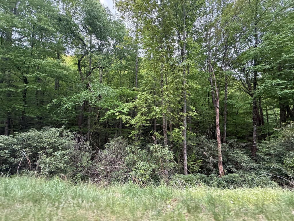 Residential Lot at Lots 9&17 9&17 Warrior Way, Andrews, NC 28901, photo 8 of 10
