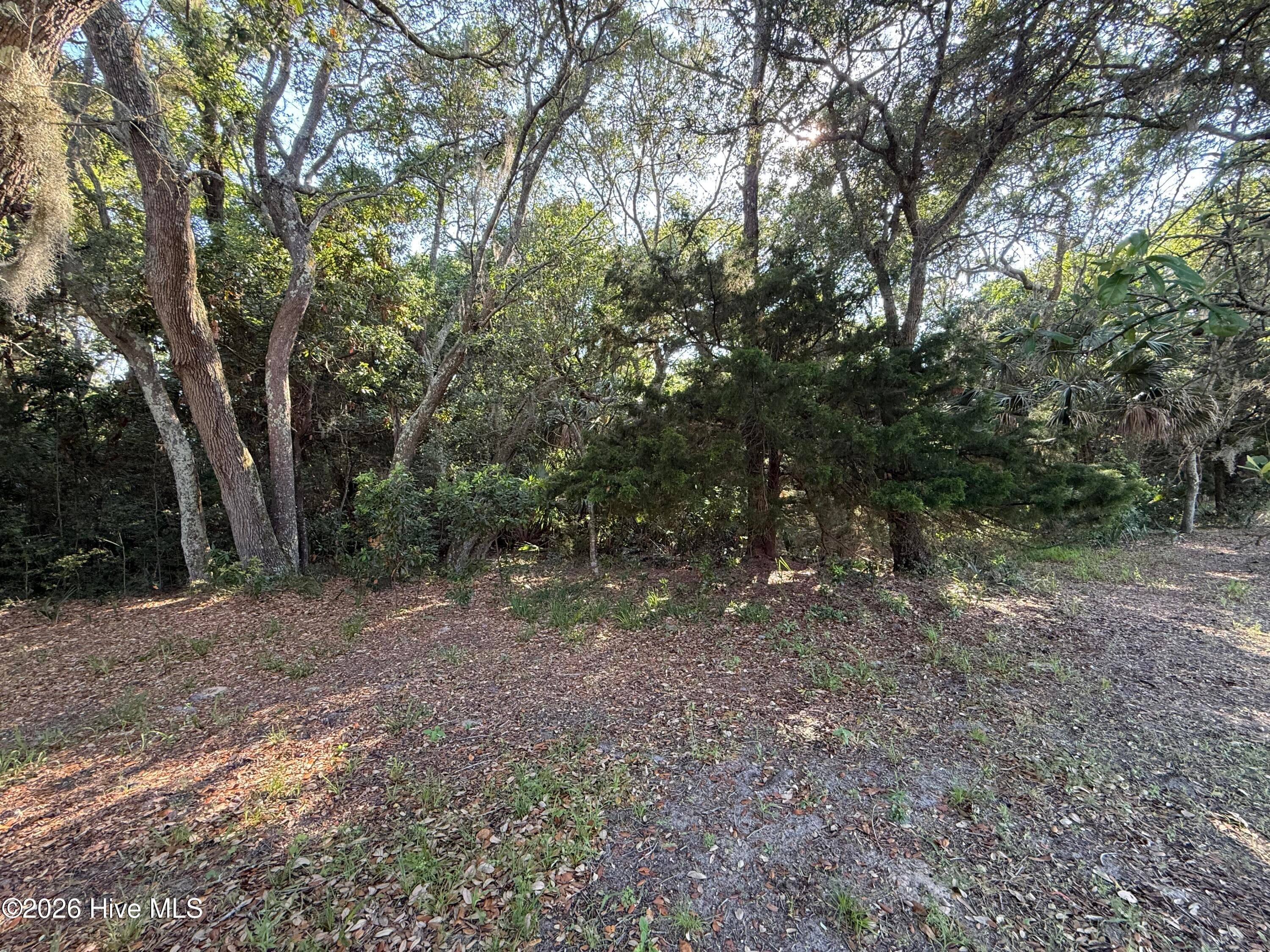 Residential Lot at 207 902 Stede Bonnet Wynd, Bald Head Island, NC 28461, photo 4 of 4