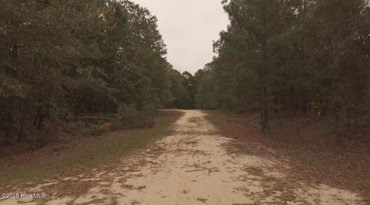 Residential Land at Tbd Brandon Circle, Laurinburg, NC 28352, photo 4 of 14