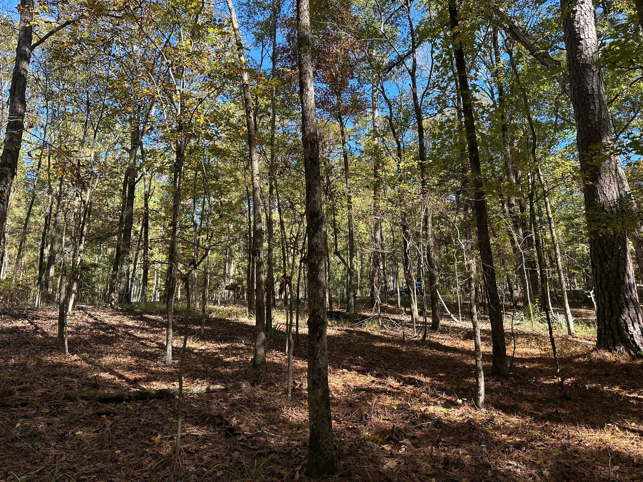 Residential Lot at 167 7 Southwind Drive, McCormick, SC 29835, photo 7 of 18