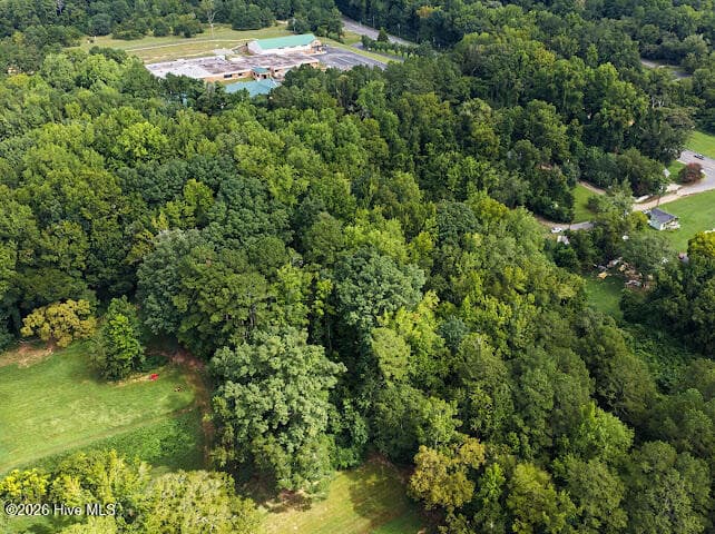 Wooded at Tbd Cedar Street, Rockingham, NC 28379, photo 14 of 18
