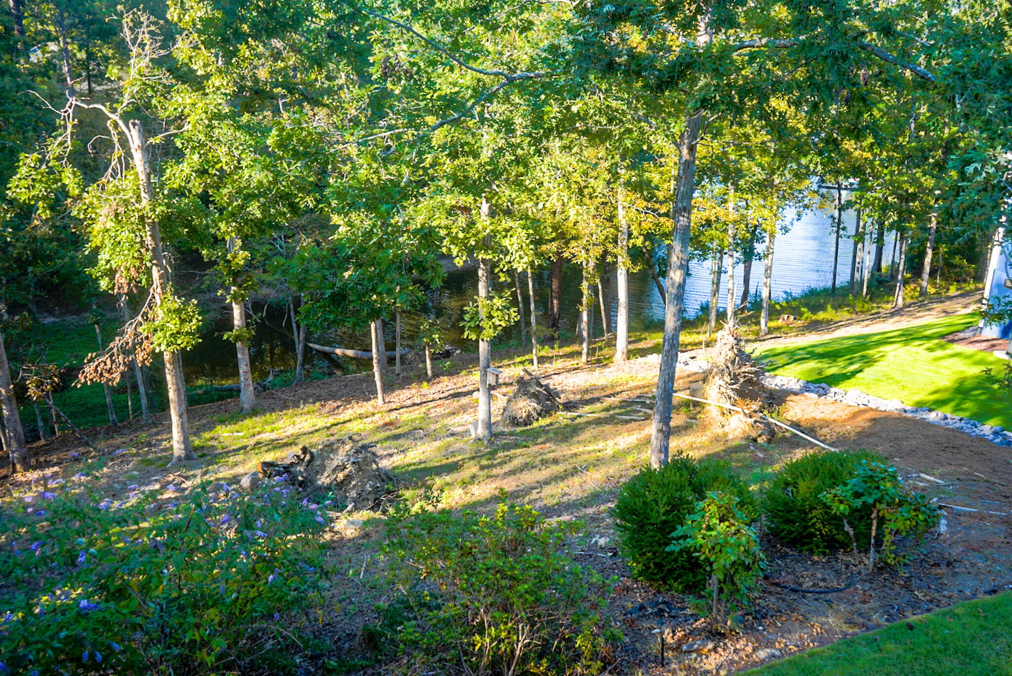 Single Family Residence at 409 Serenity Cove, McCormick, SC 29835, photo 17 of 67