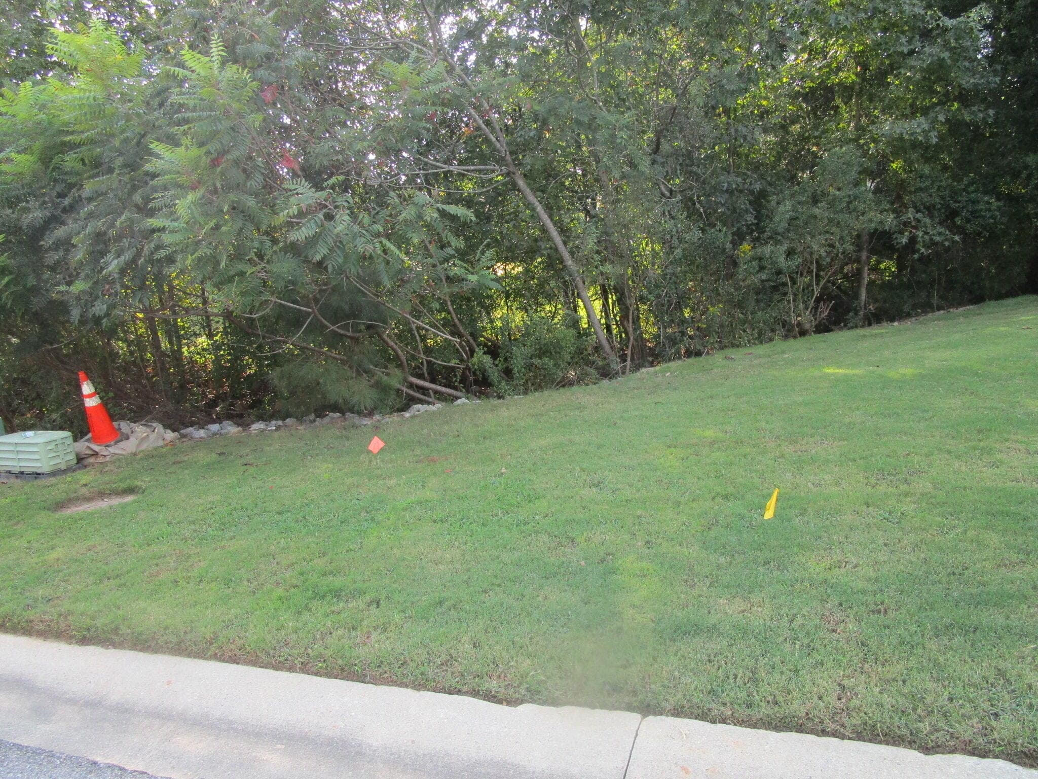 509 Walton Way, Augusta, GA 30901