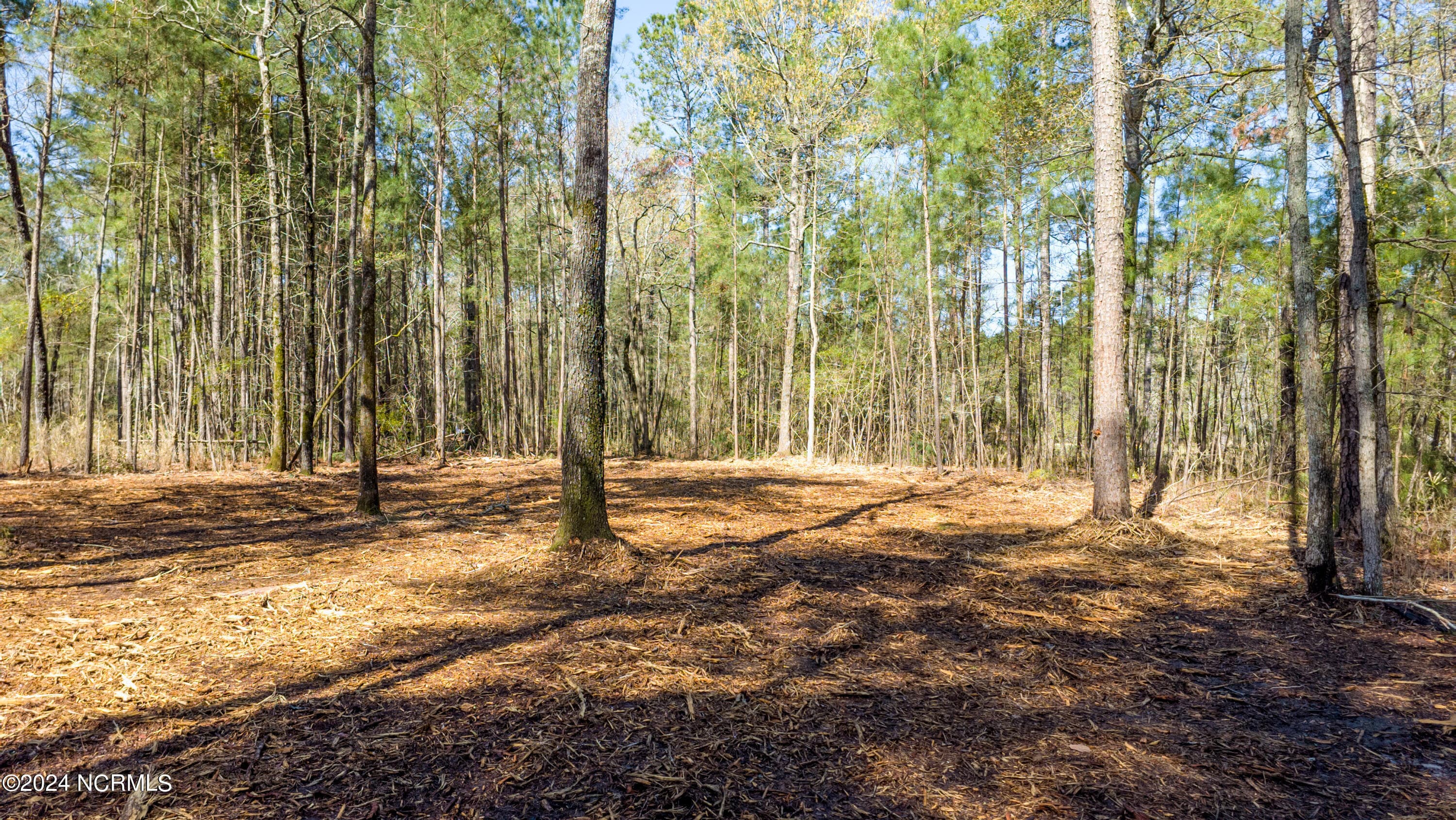 Residential Land at 15 Alexander Drive, Belhaven, NC 27810, photo 13 of 15