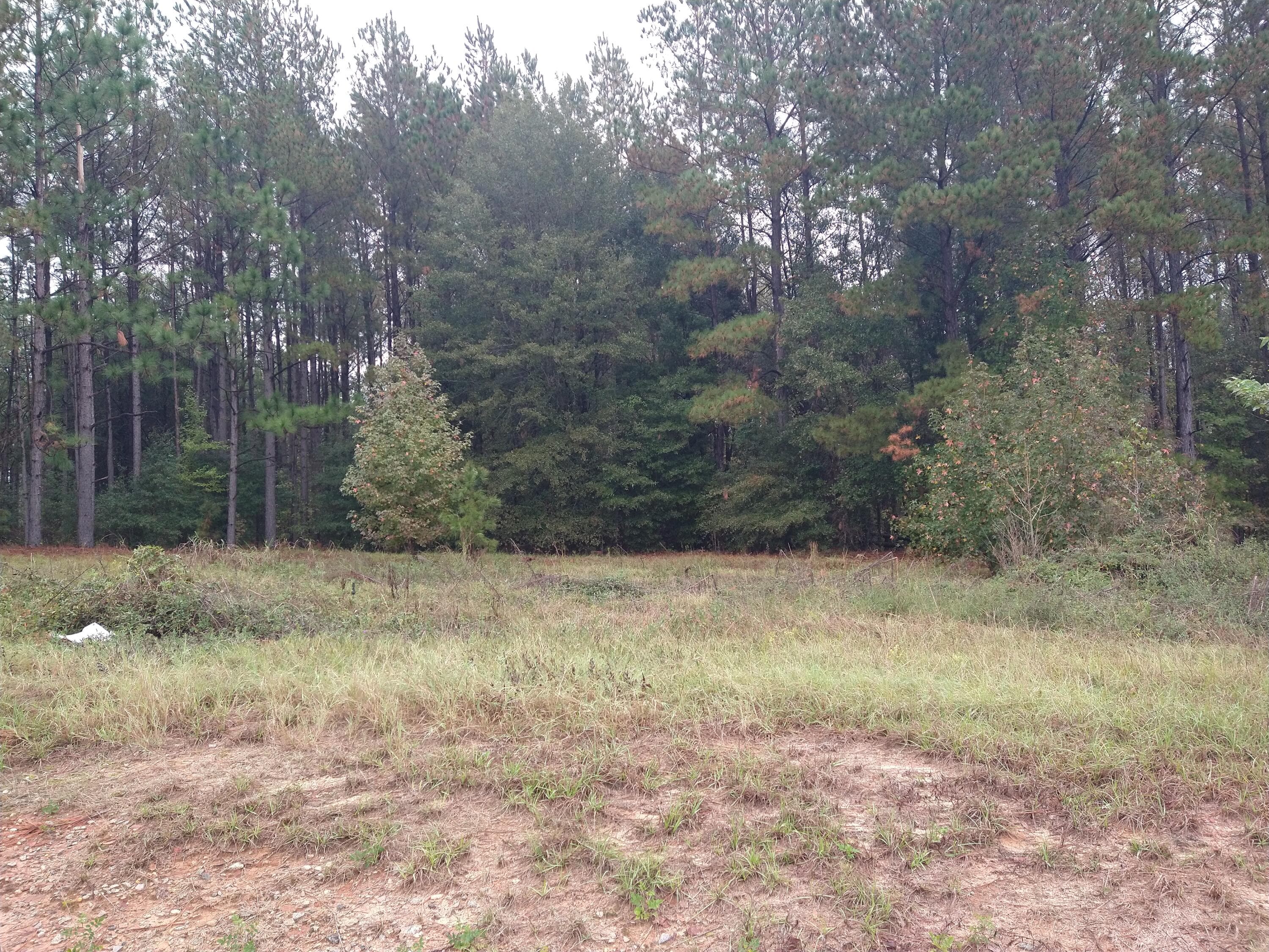 0 Gresham Road, Keysville, GA 30816