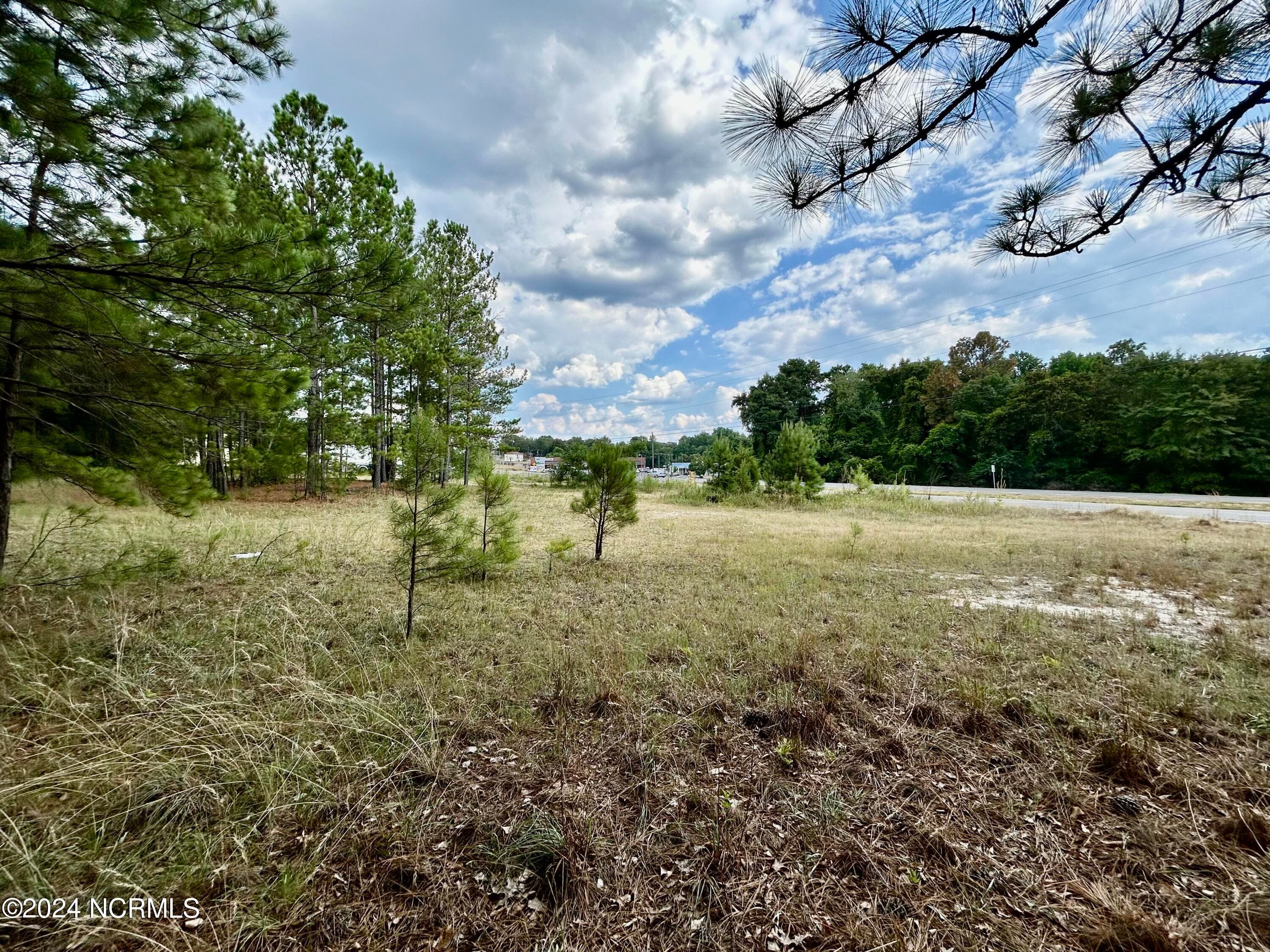 Commercial Sale at Tbd Hwy 74 Highway, Hamlet, NC 28345, photo 9 of 14