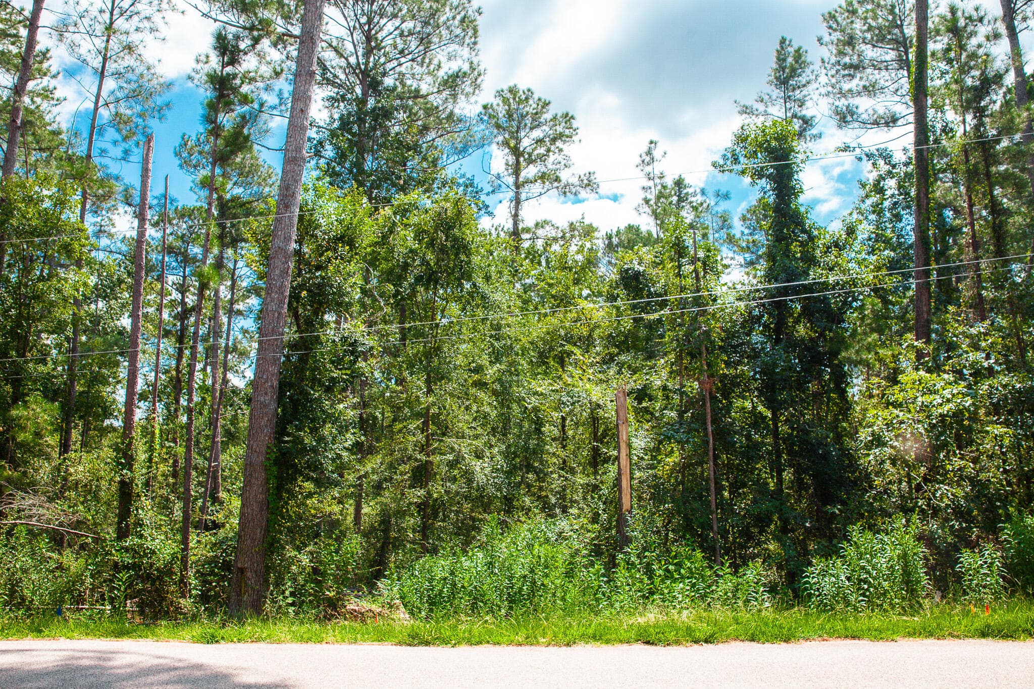 Lot 6 Furey Drive, Clarks Hill, SC 29821
