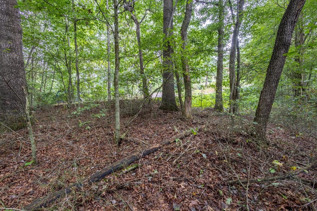 3 Ac Chestnut Flats Road, Andrews, NC 28901