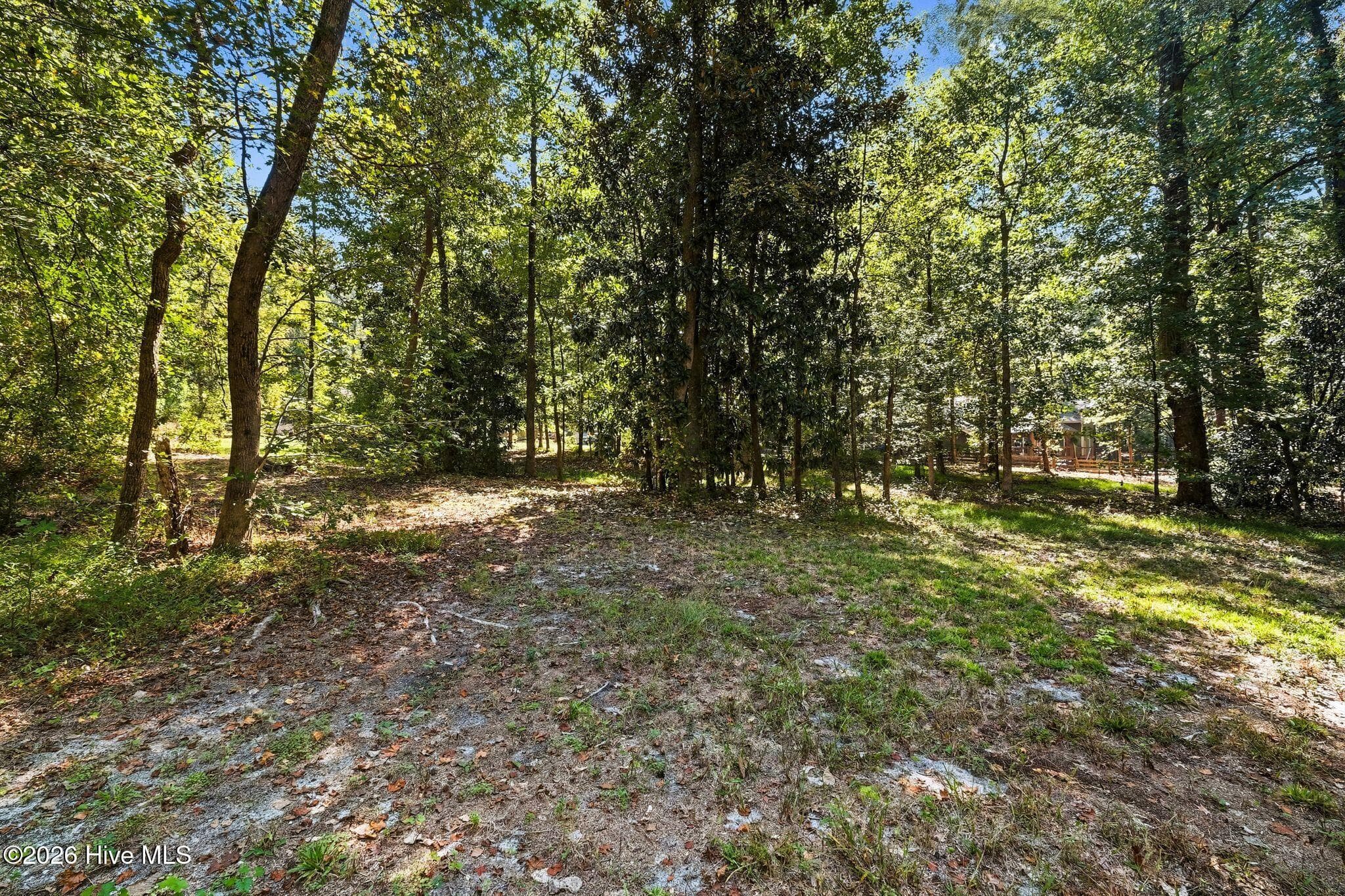 Single Family Residence at 603 Edgehill Parkway, Carthage, NC 28327, photo 29 of 29