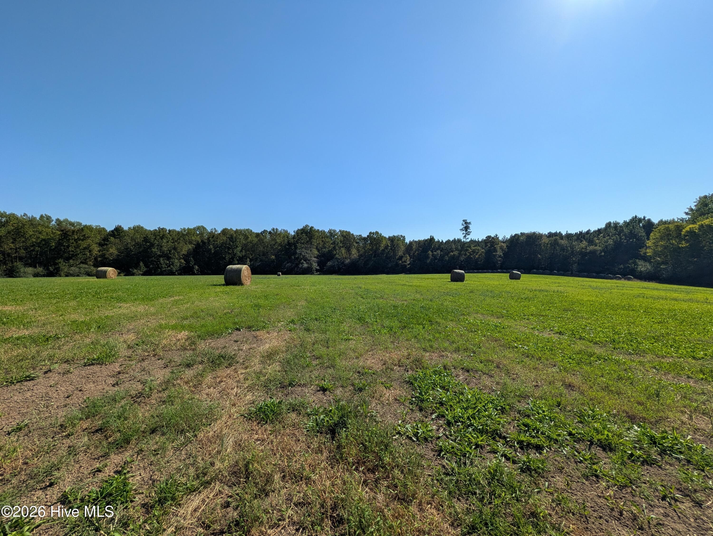Undeveloped at Tbd County Line Road, Ellerbe, NC 28338, photo 6 of 7