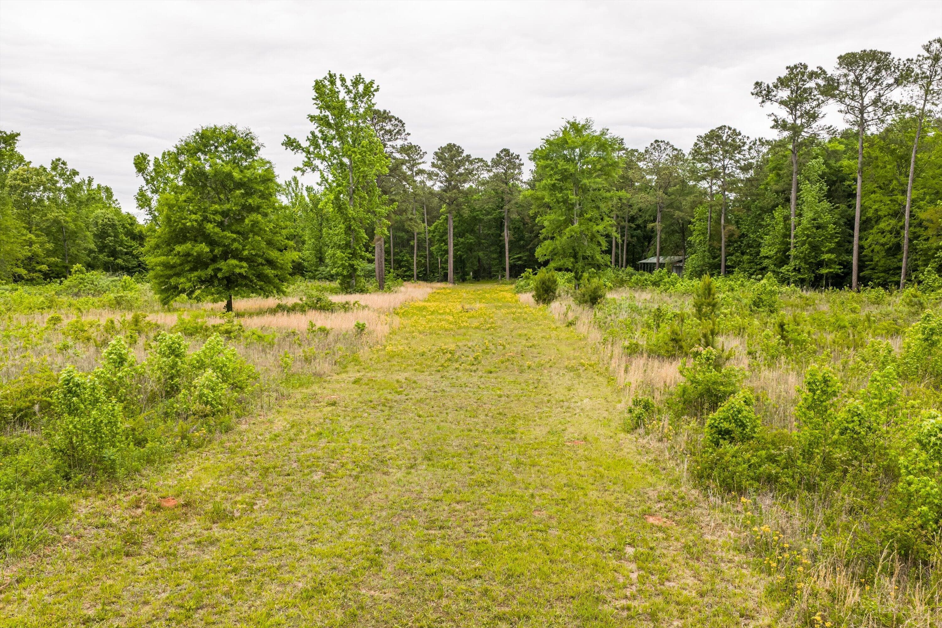 Mixed Use at 3776 Mt Zion Church Road, Lincolnton, GA 30817, photo 11 of 39